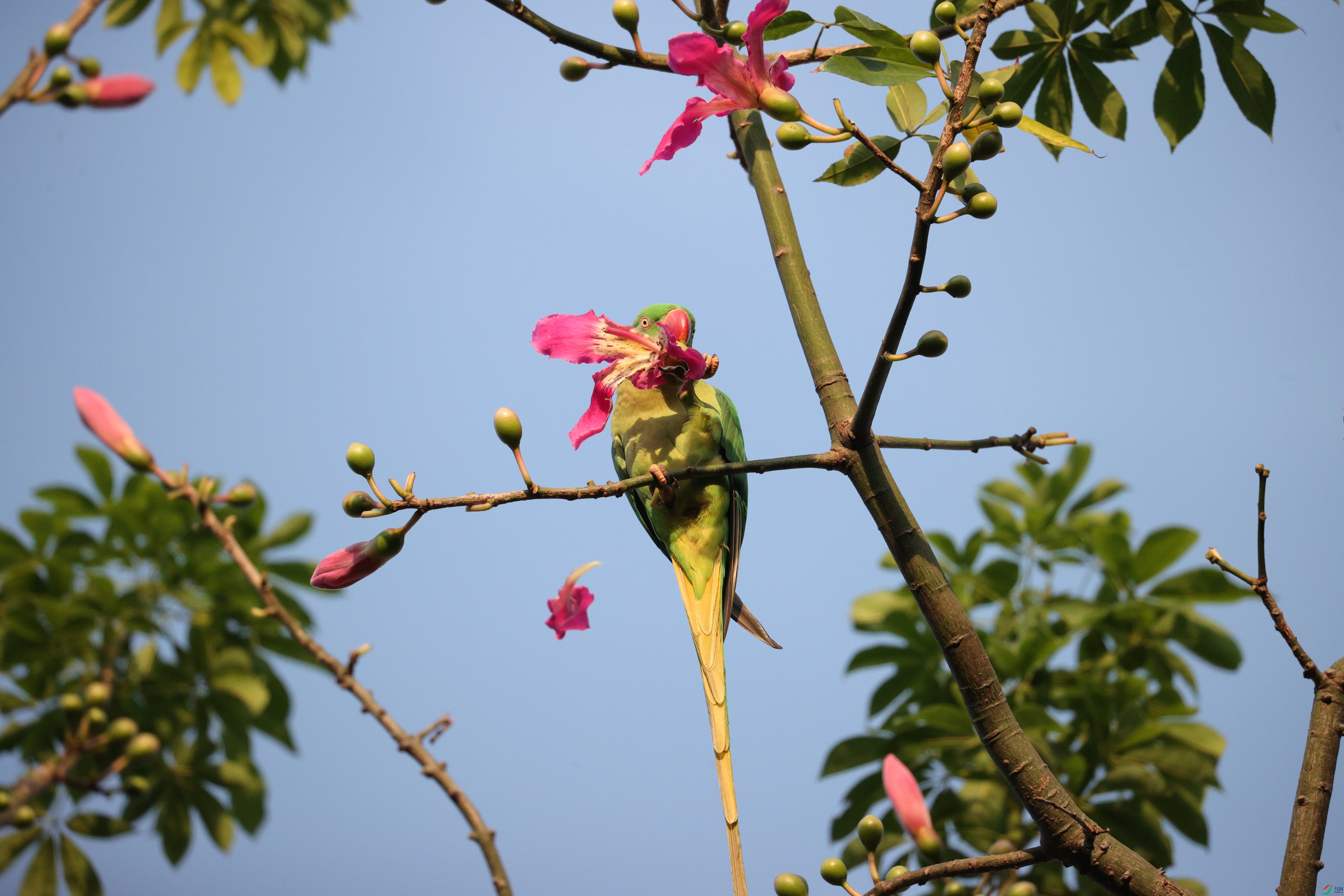 6507��ש����