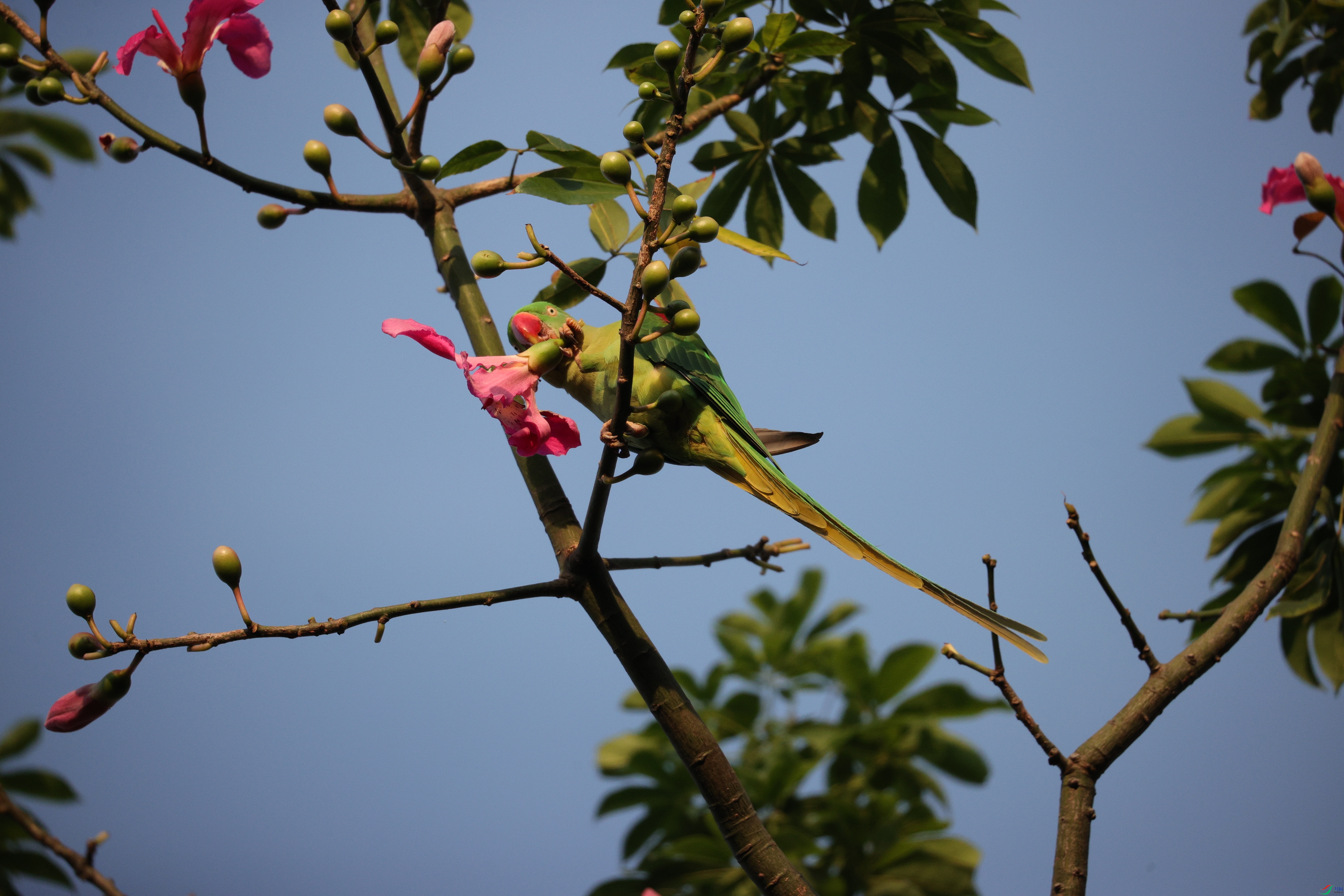 6513��ש����