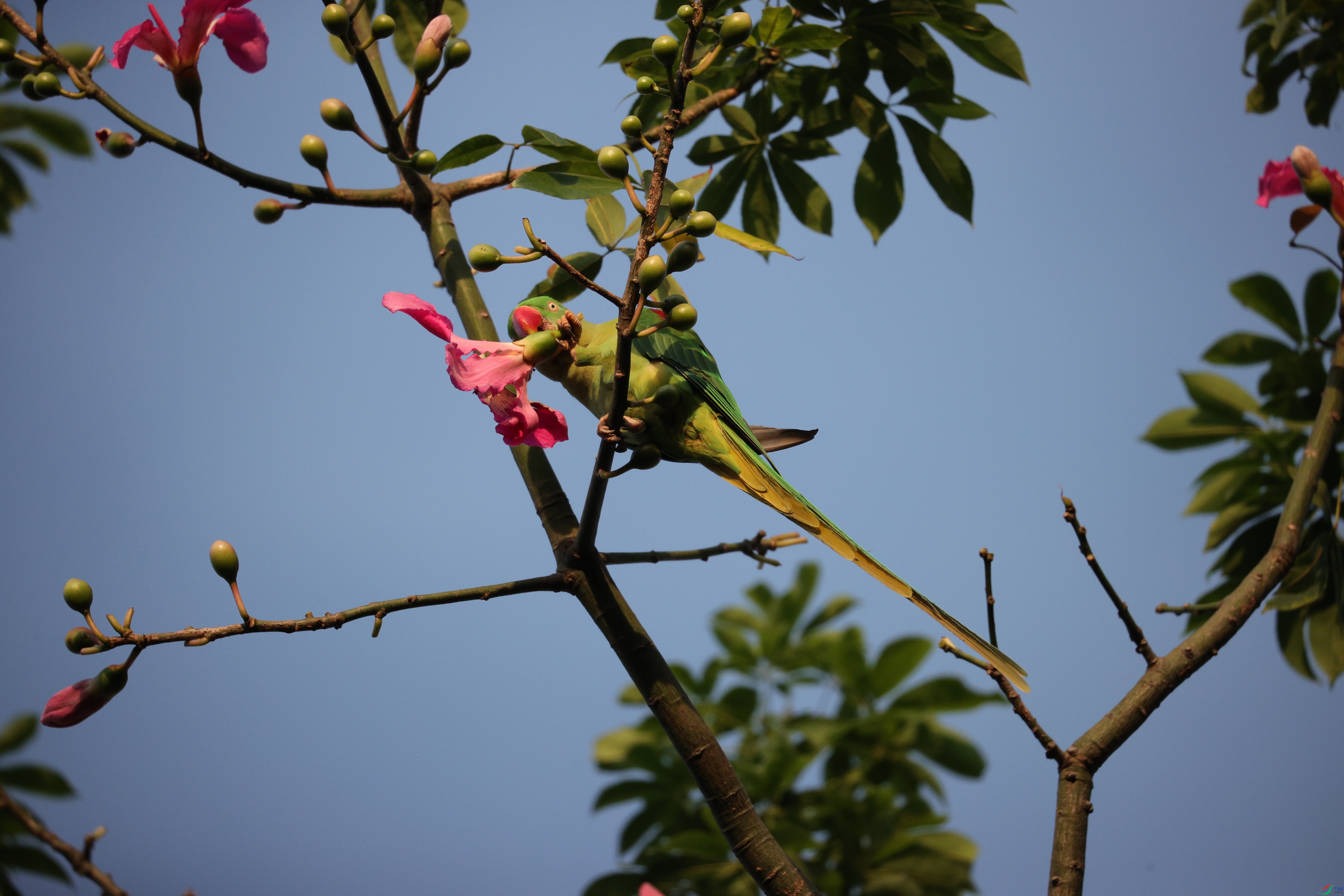 6514��ש����