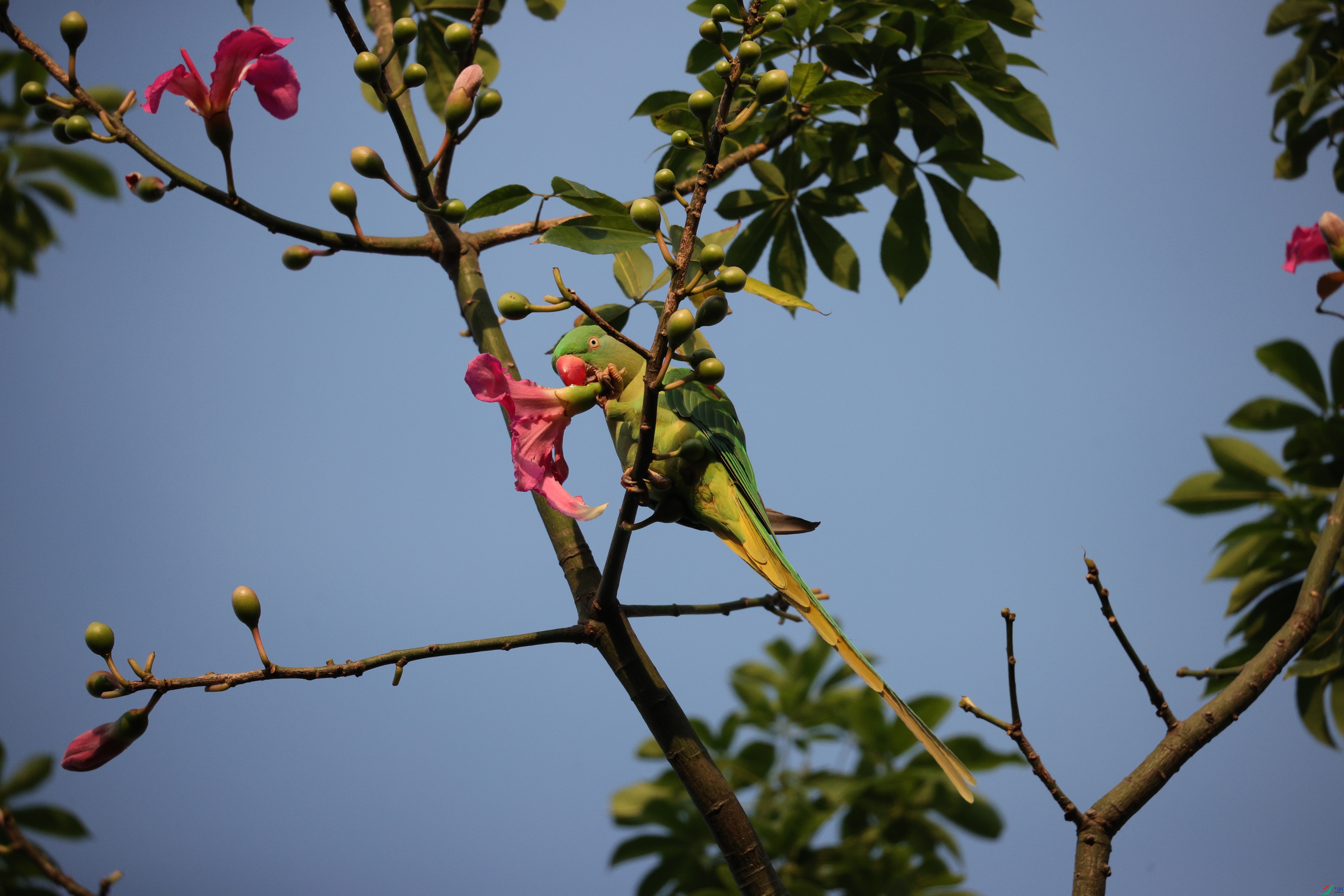 6519��ש����