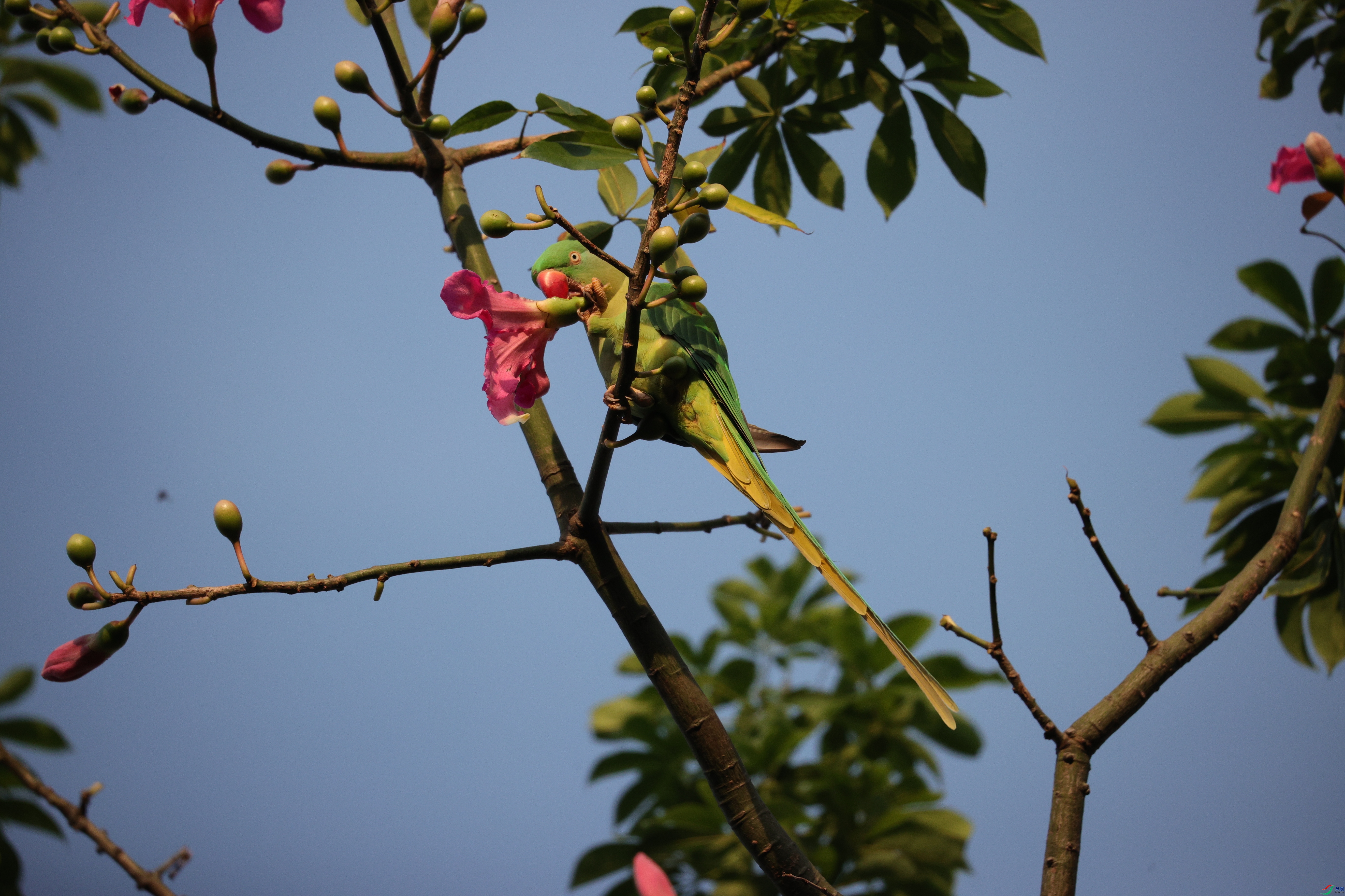 6822��ש����