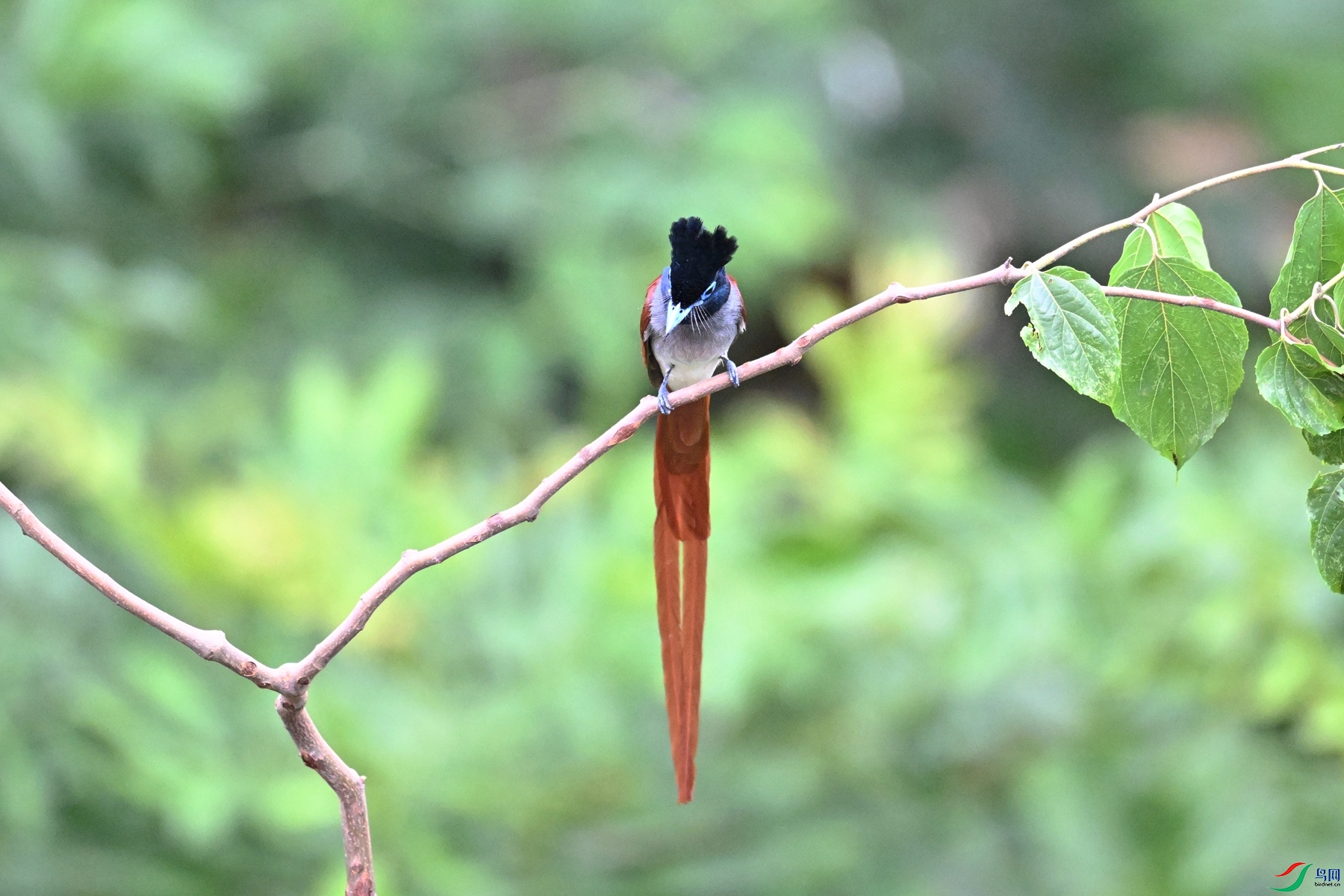 DSC_5851.JPG