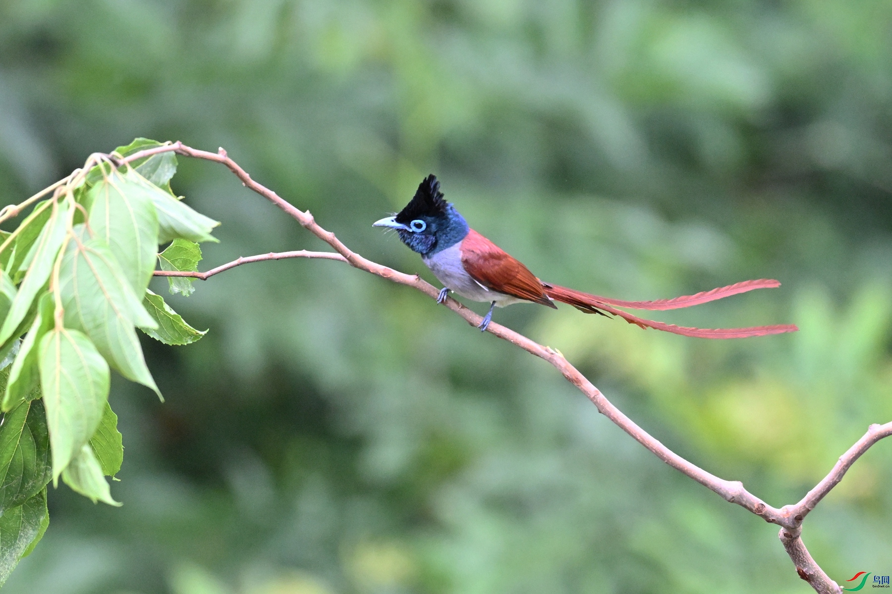 DSC_5821.JPG