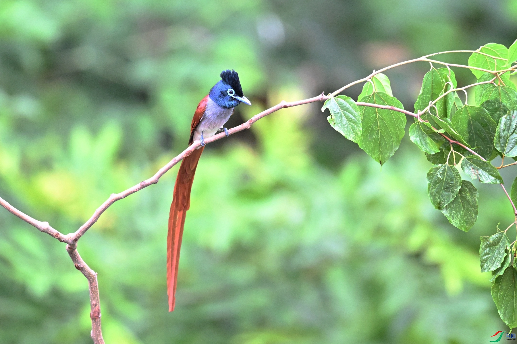 DSC_5857.JPG
