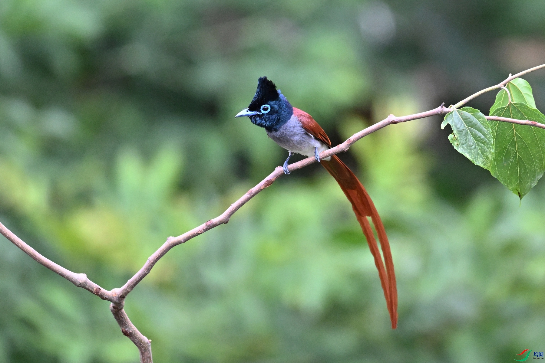 DSC_5840.JPG