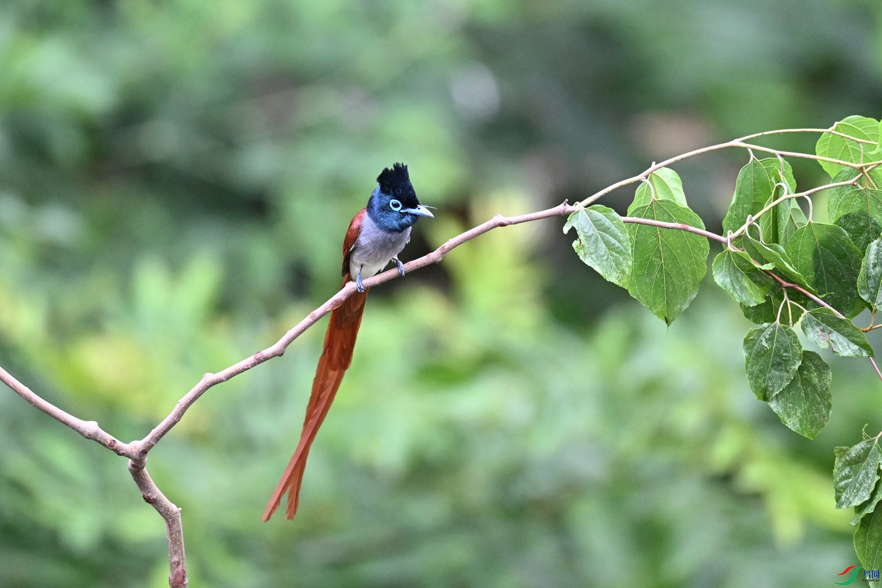 DSC_5843.JPG
