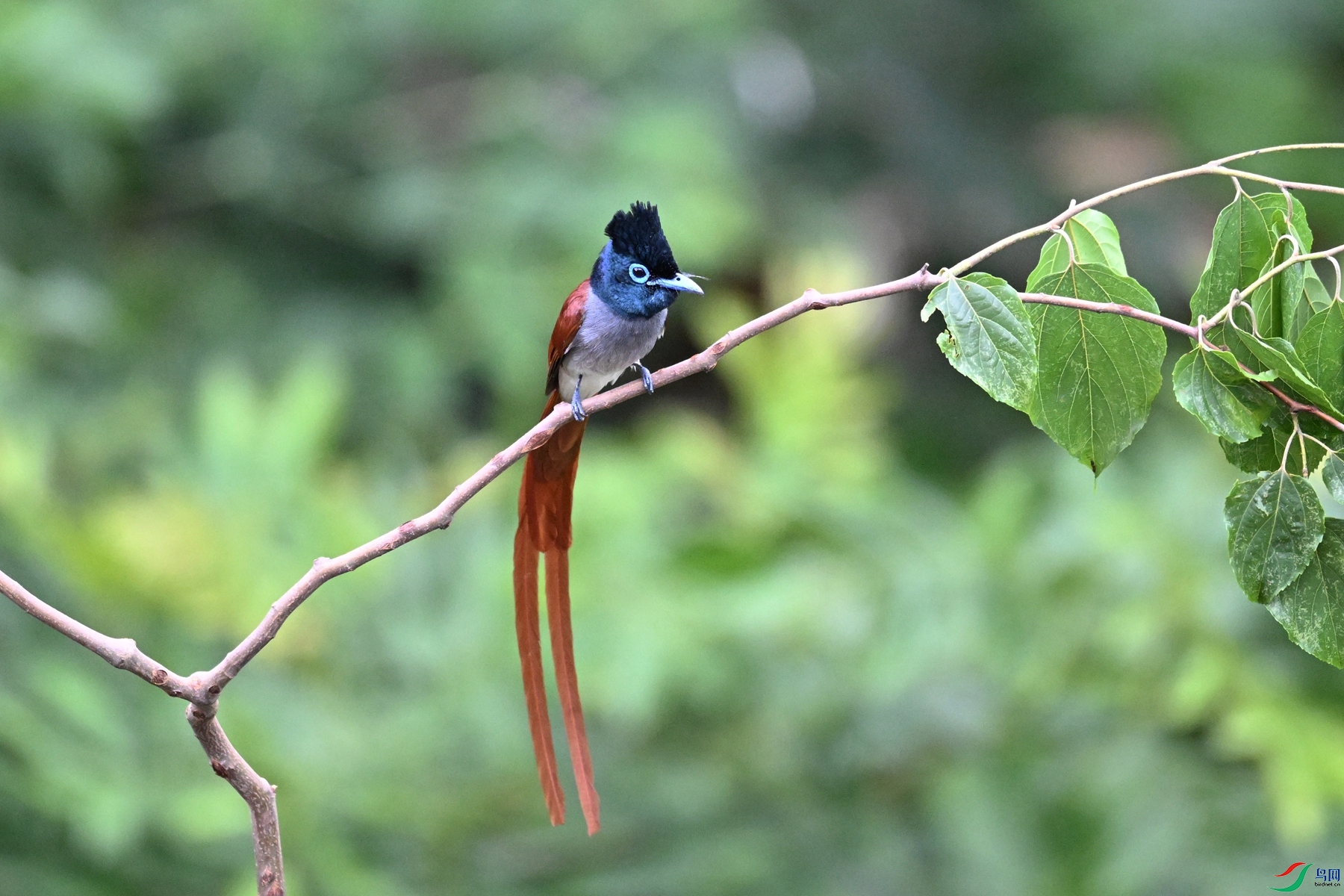DSC_5846.JPG