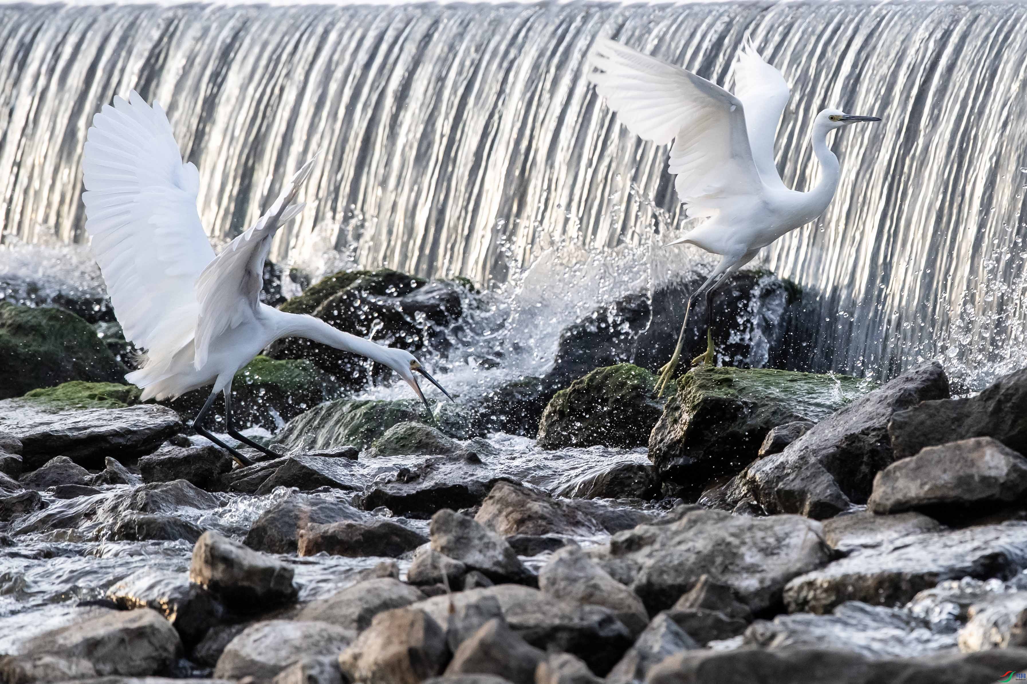 _DSC5094 ����.jpg