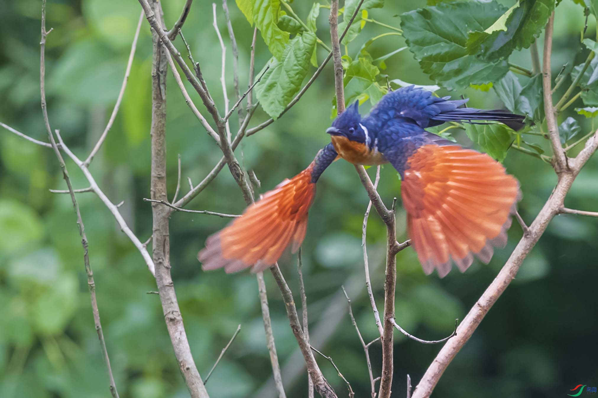 AF3I9010 ����.jpg