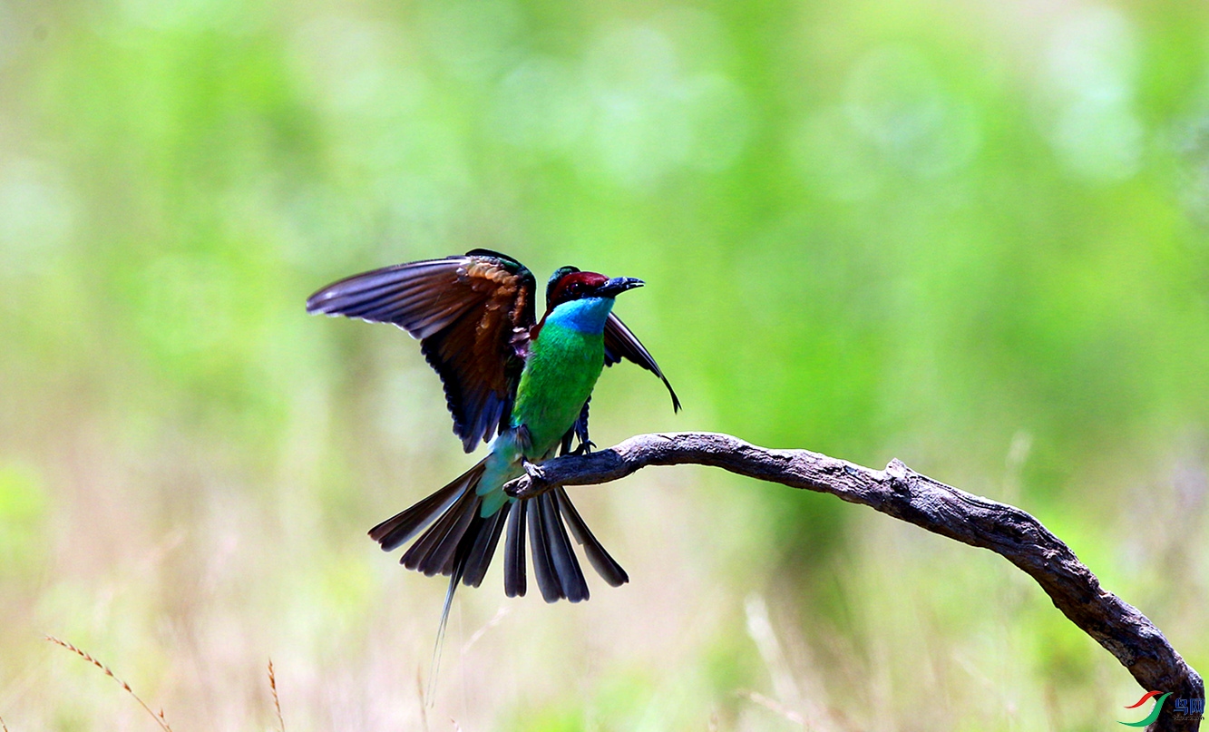 H46R5210_����.jpg