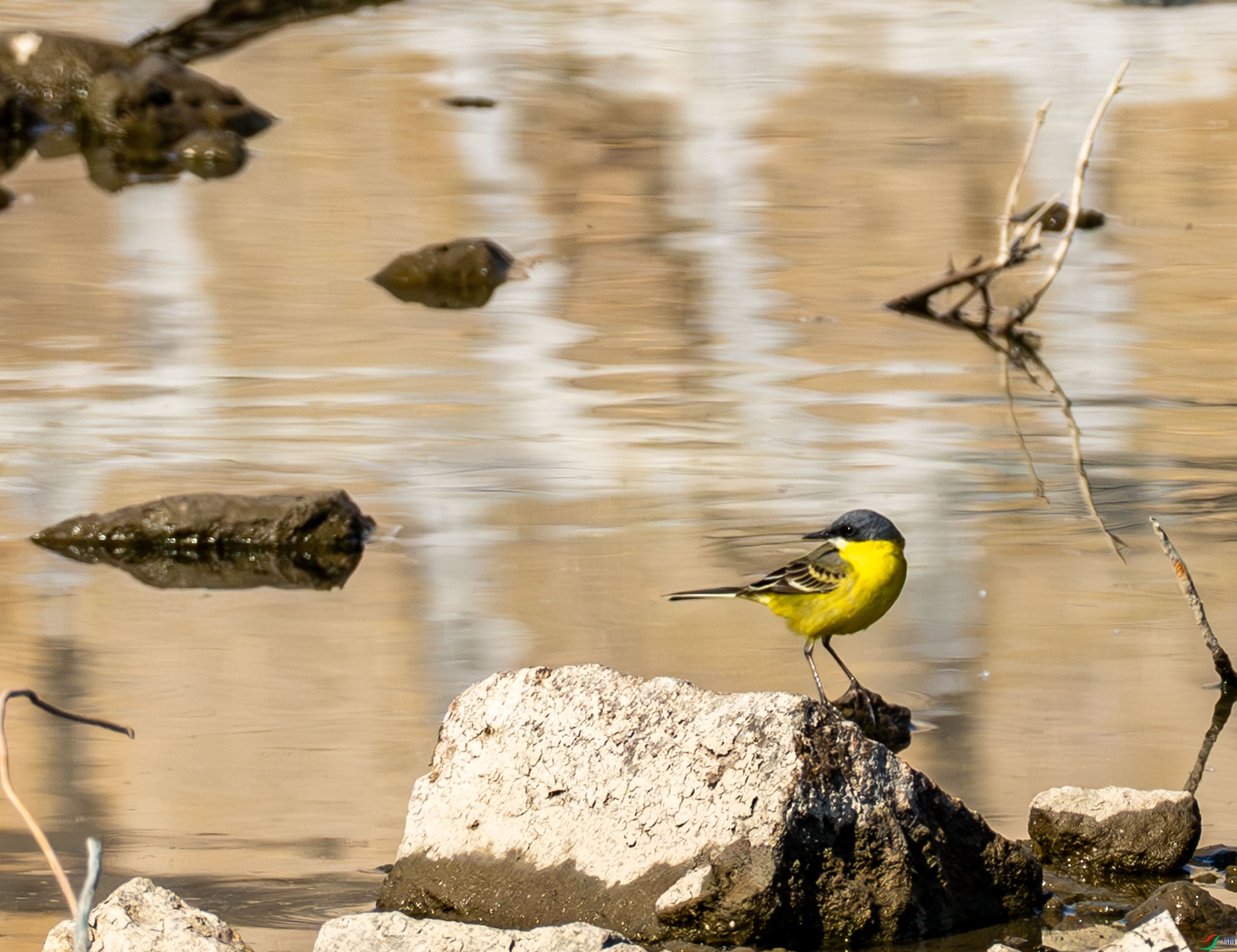 �����n�_ (10 - 12).jpg