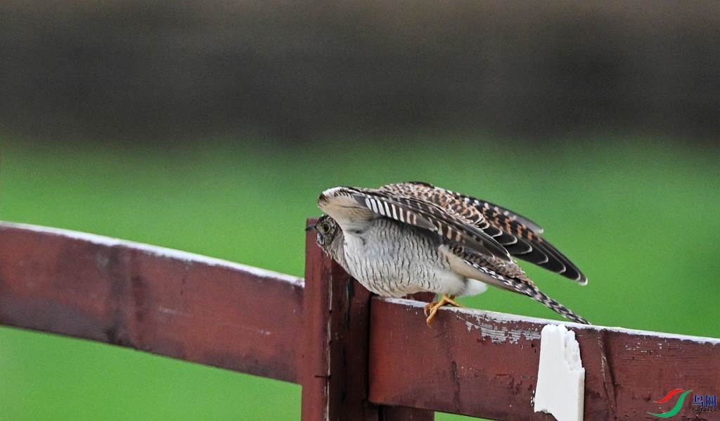 DSC_2422.JPG
