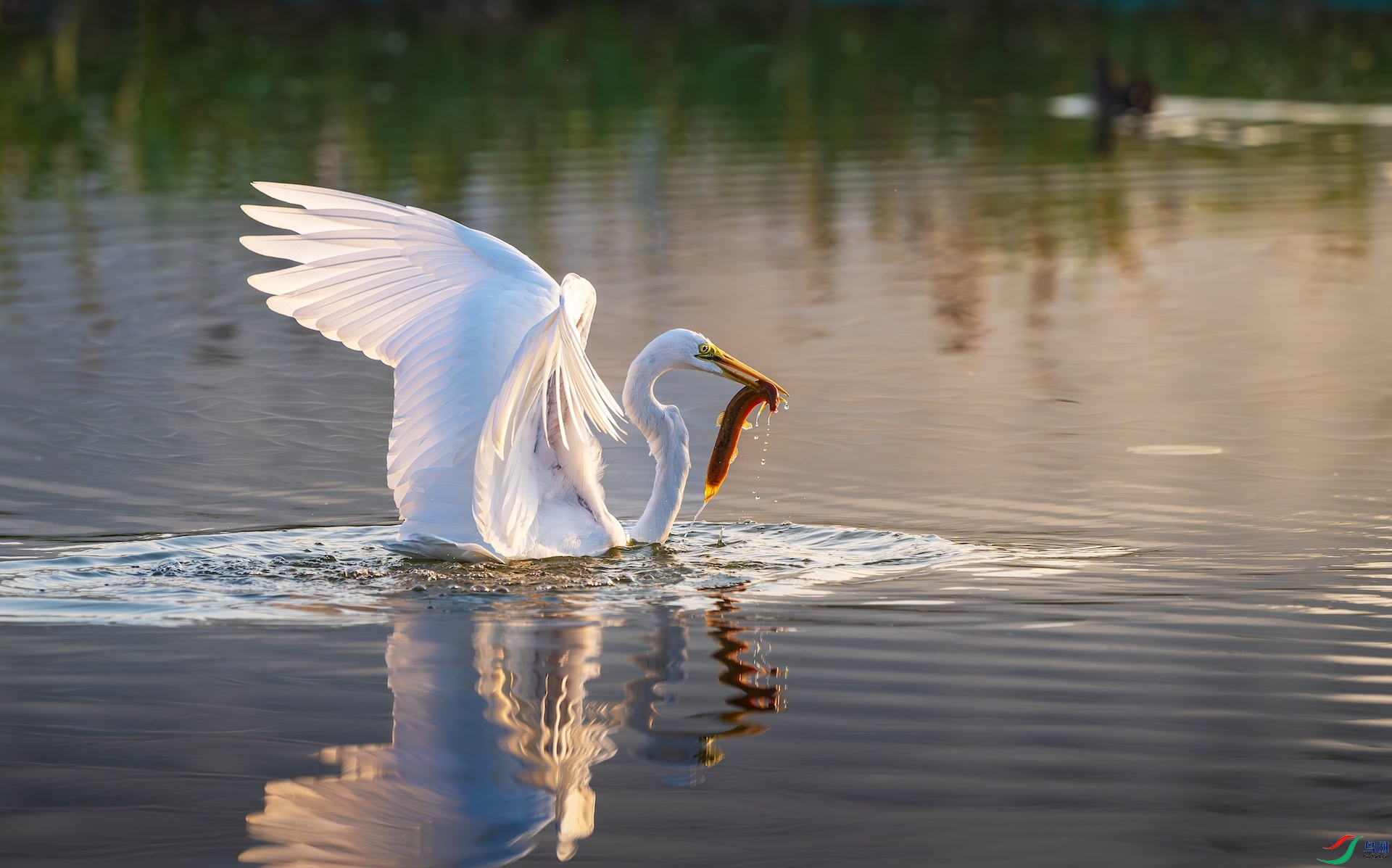 1_DSC3269-����ǿ-NR-1 2.jpeg