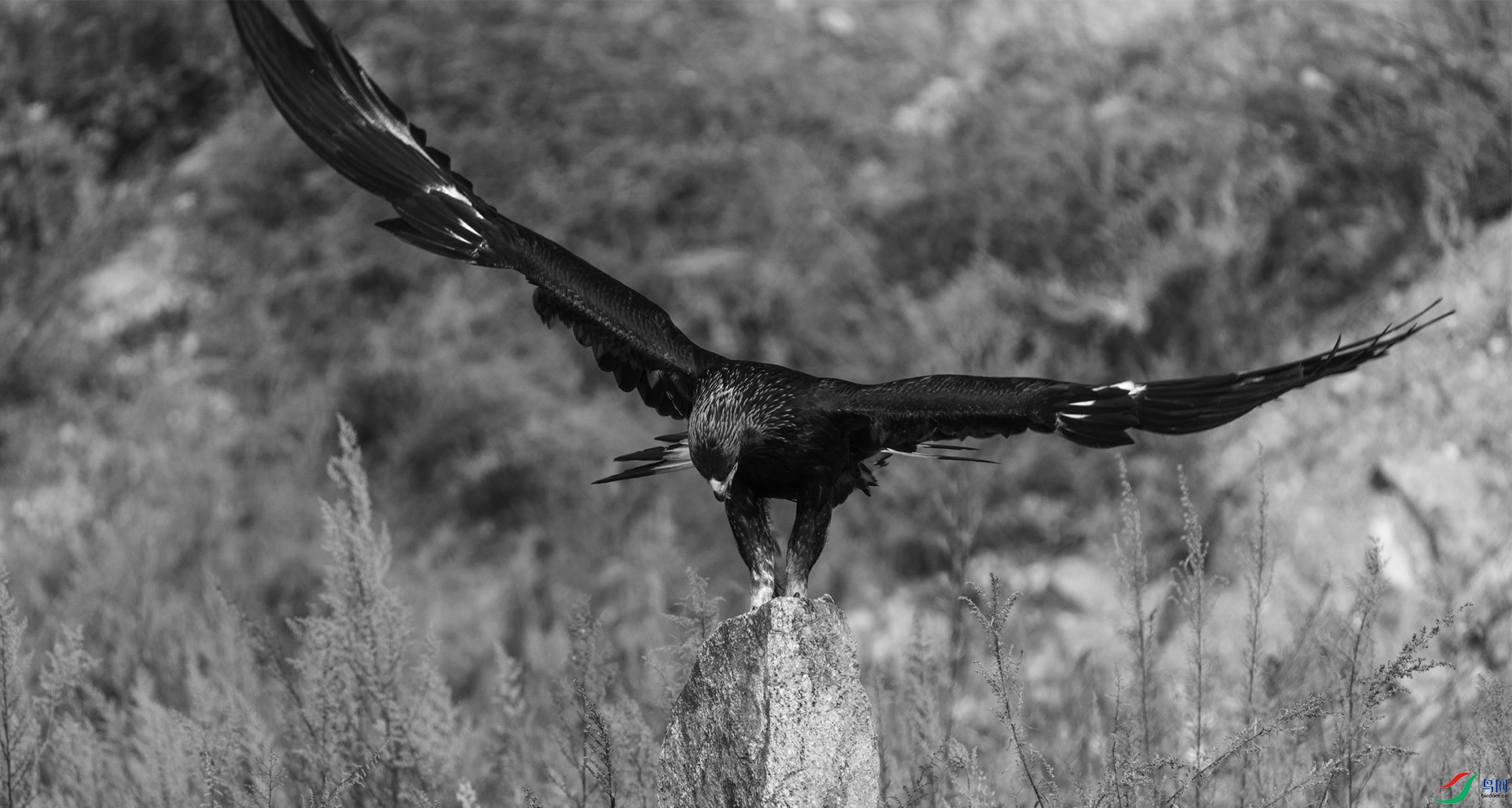 DSC06024 ����.jpg