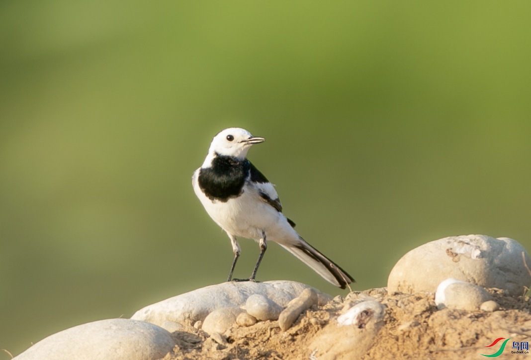 673A9429 ����.jpg