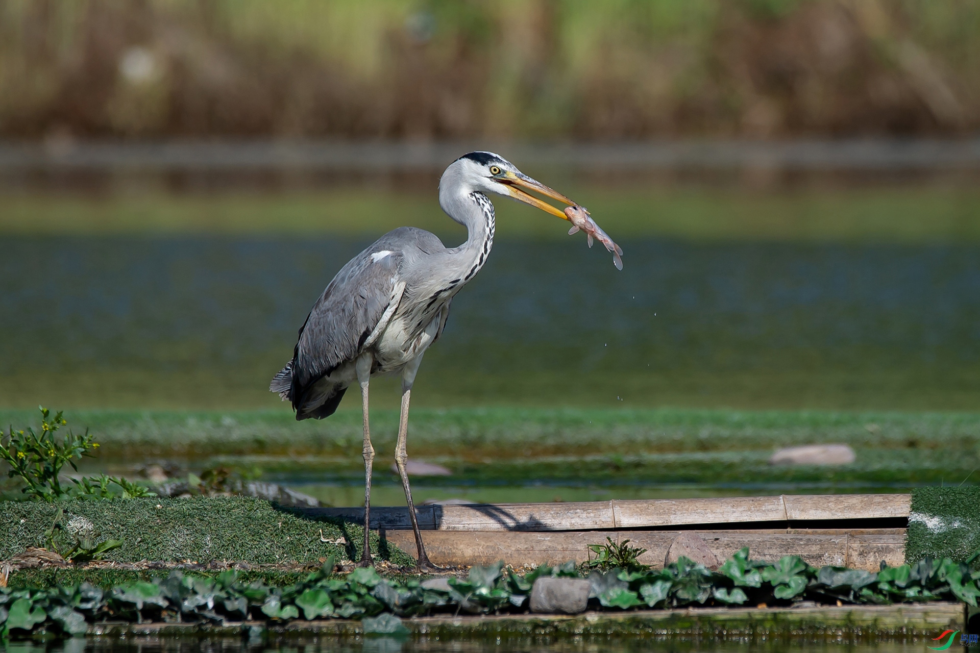 _DSC1754-20220521 �ü�-.jpg