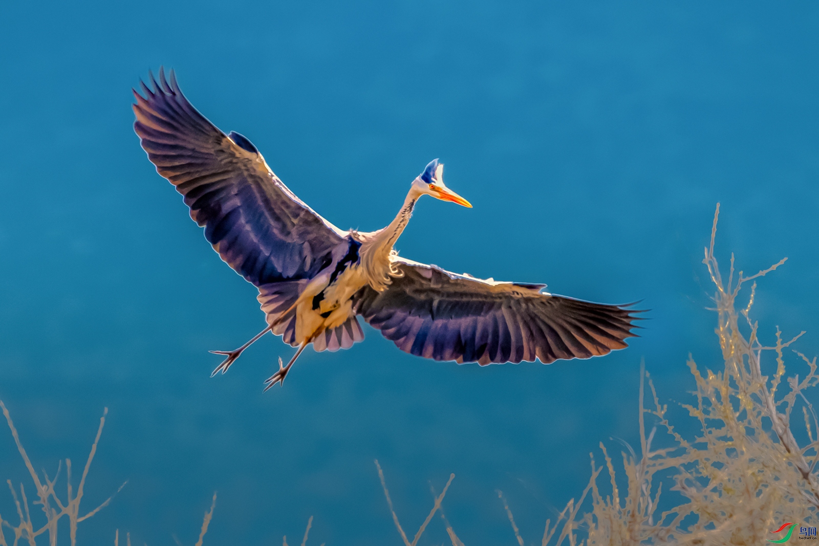 ����----�����Ӱ����