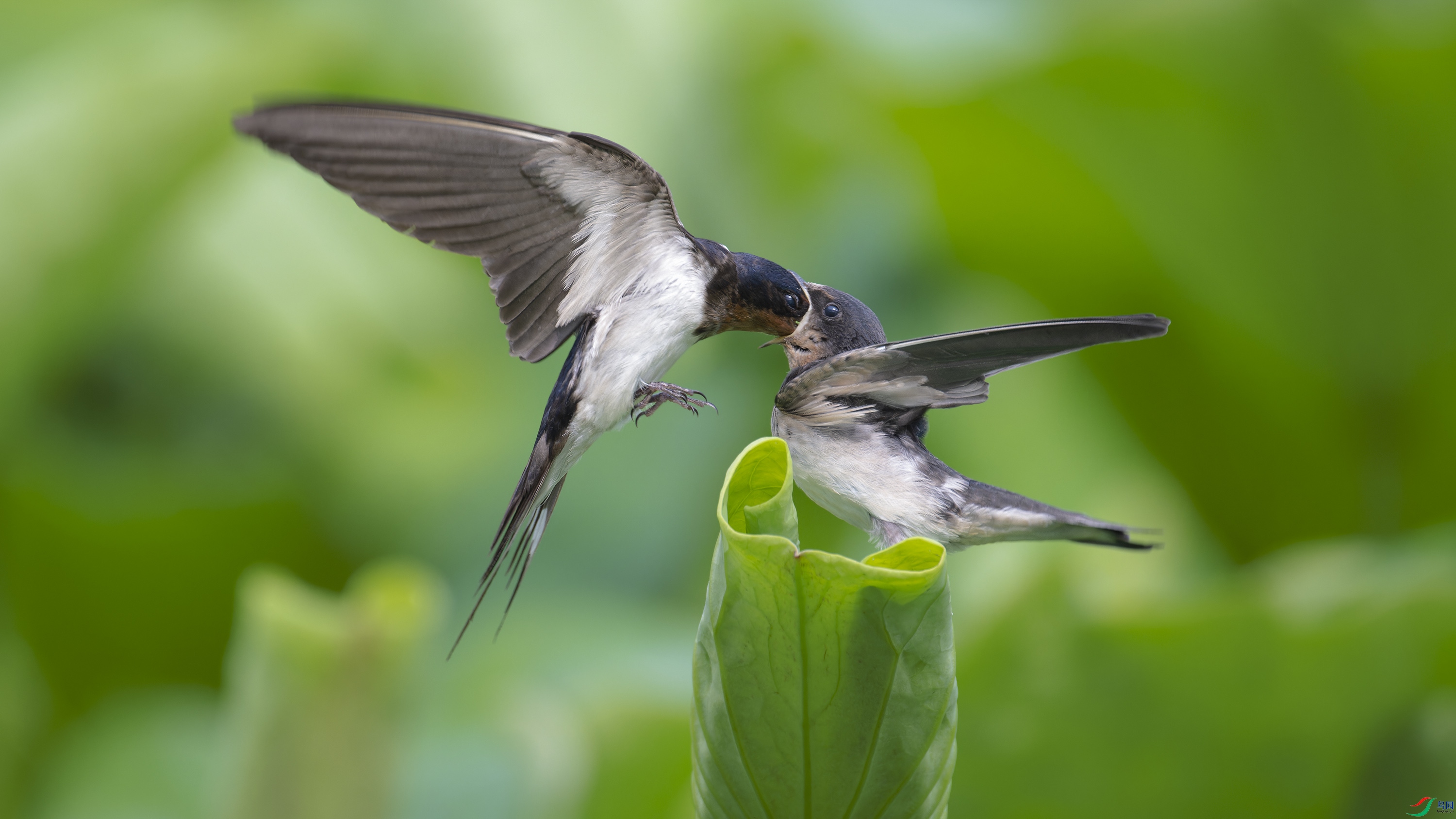 _DSC4465_DxO.jpg
