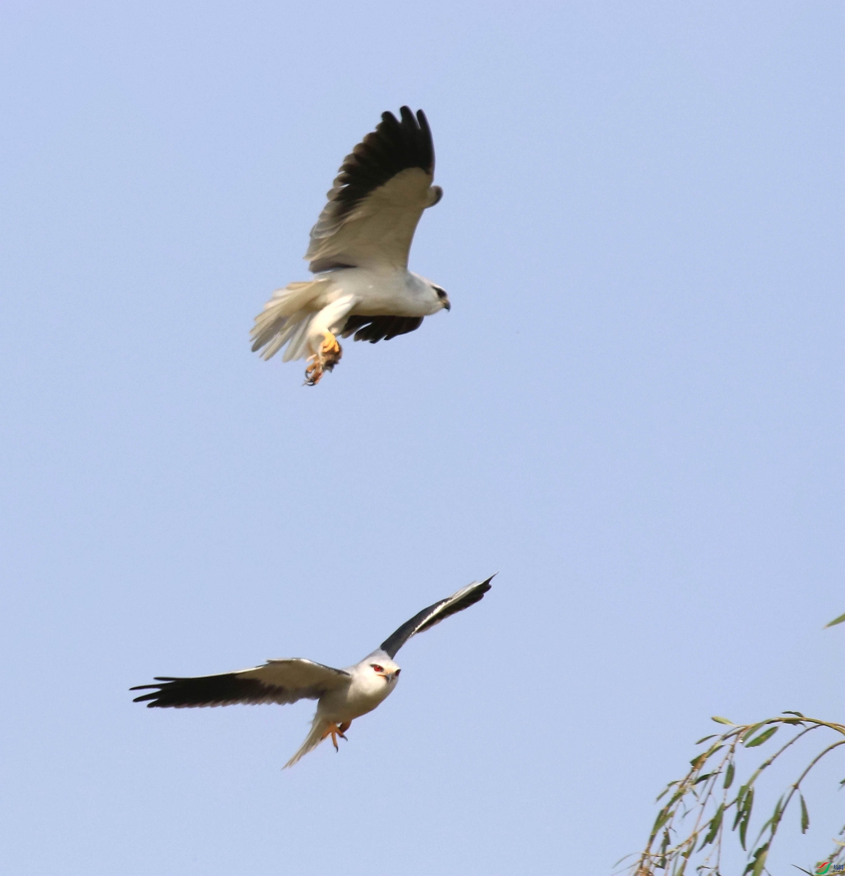 HYS_6005_����.jpg