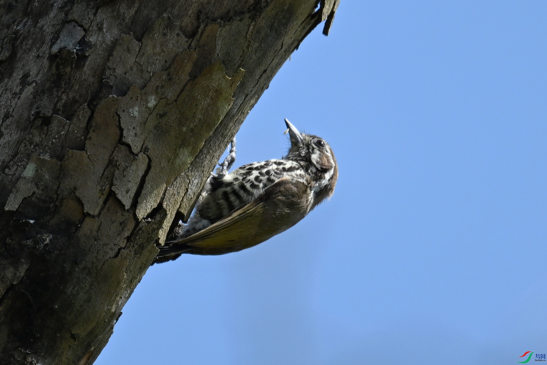DSC_8975.JPG