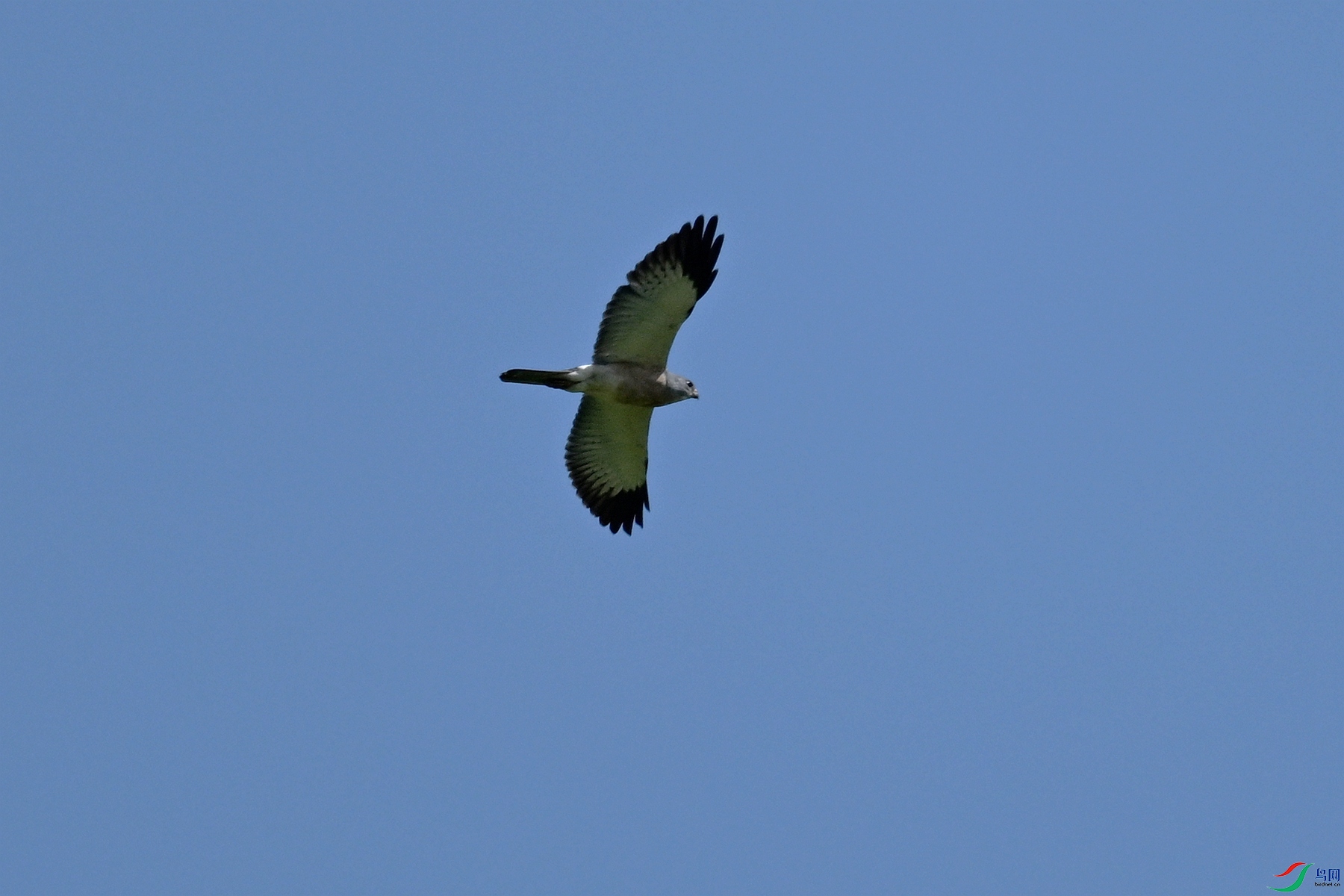 DSC_8993.JPG