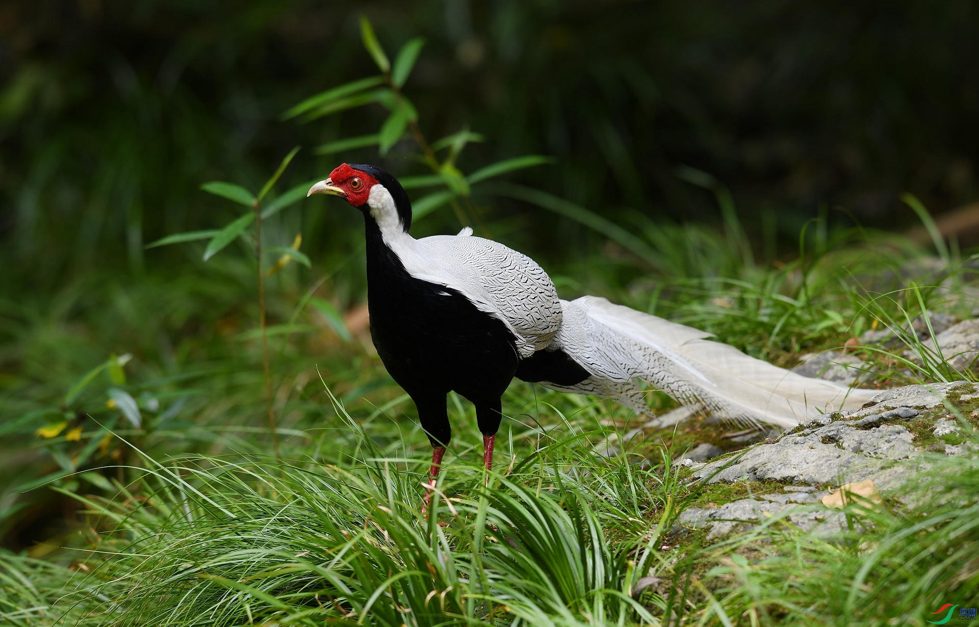 DSC_7679.jpg
