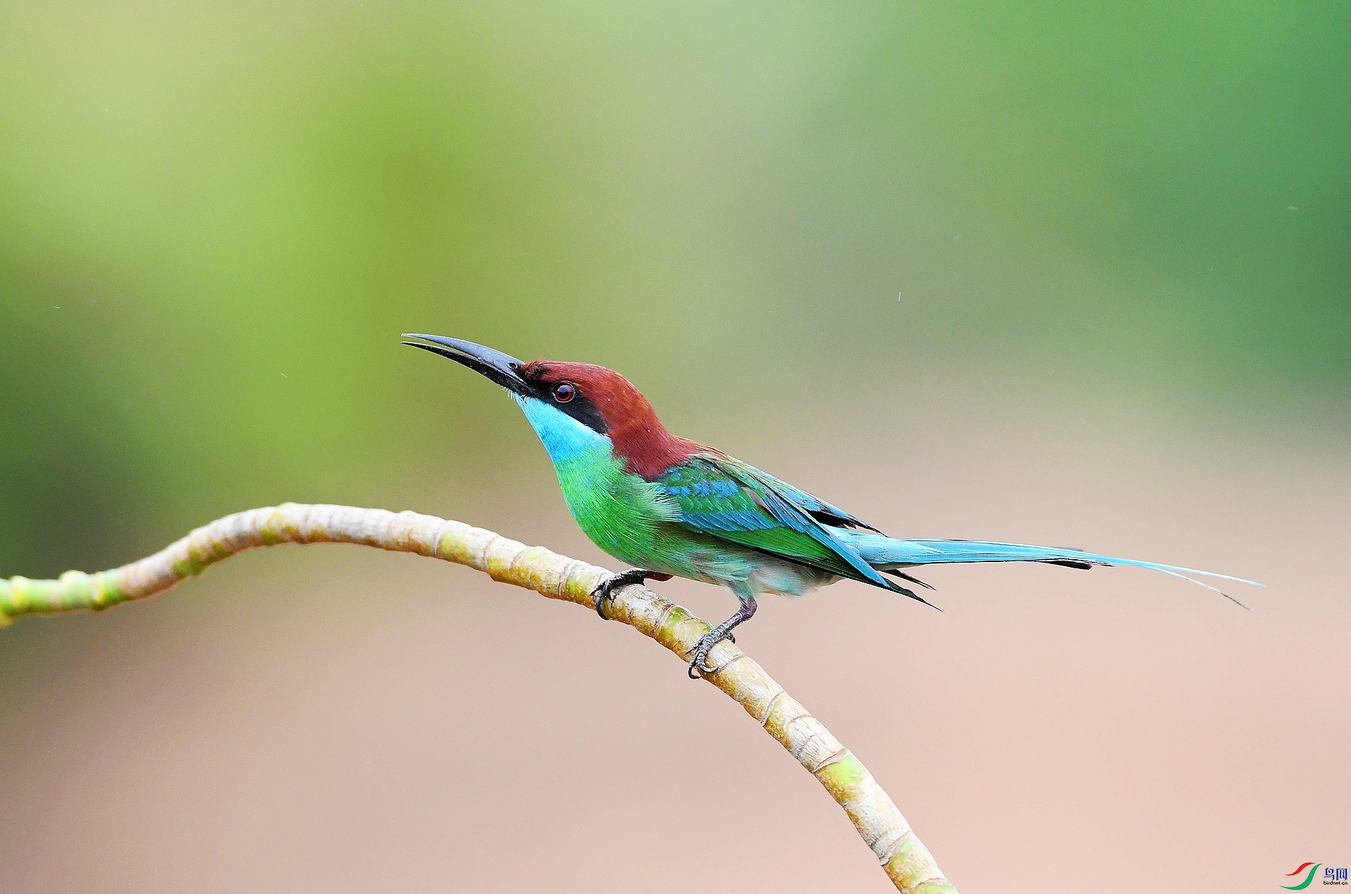 DSC_8365.jpg