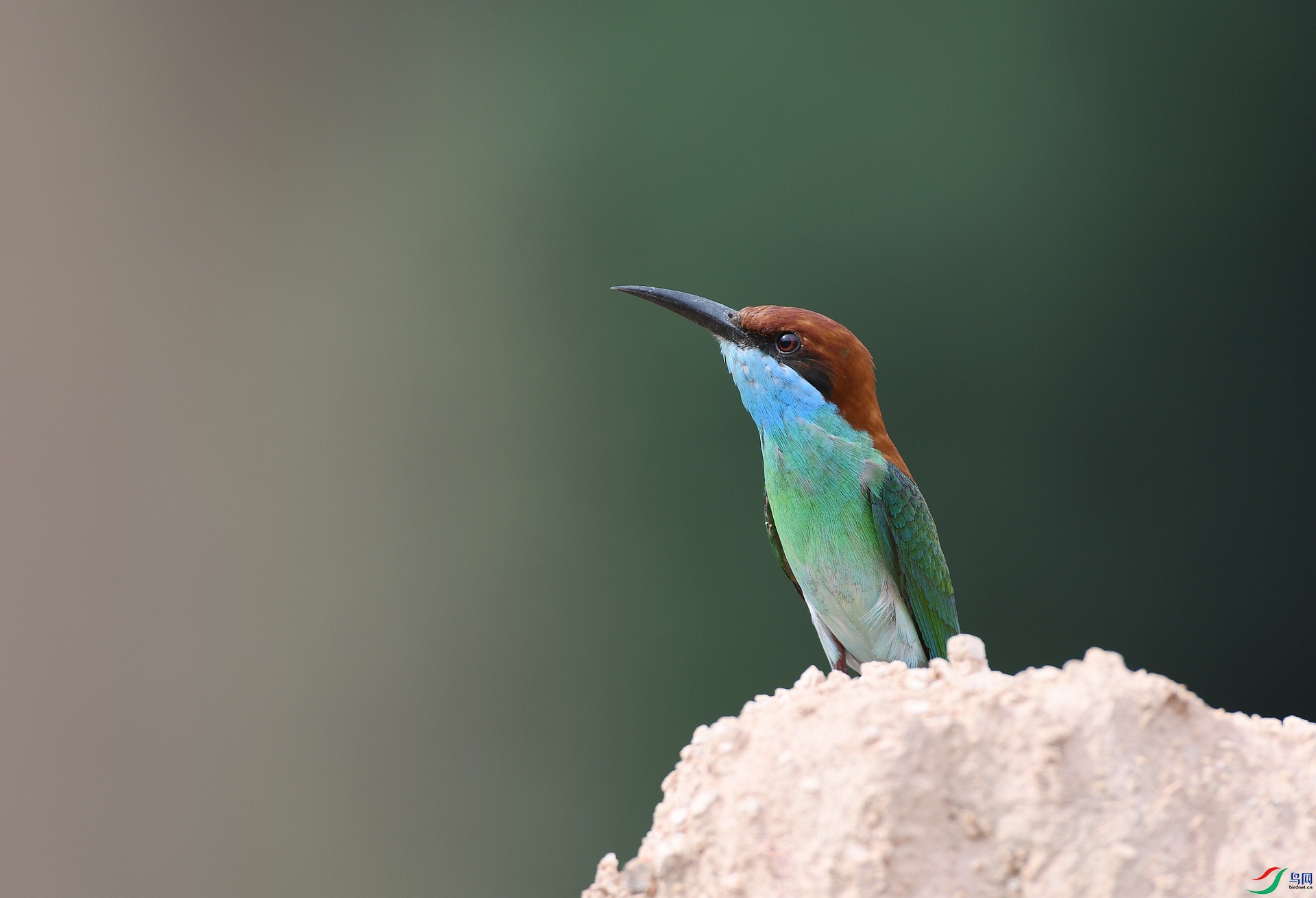 DSC_8817.jpg