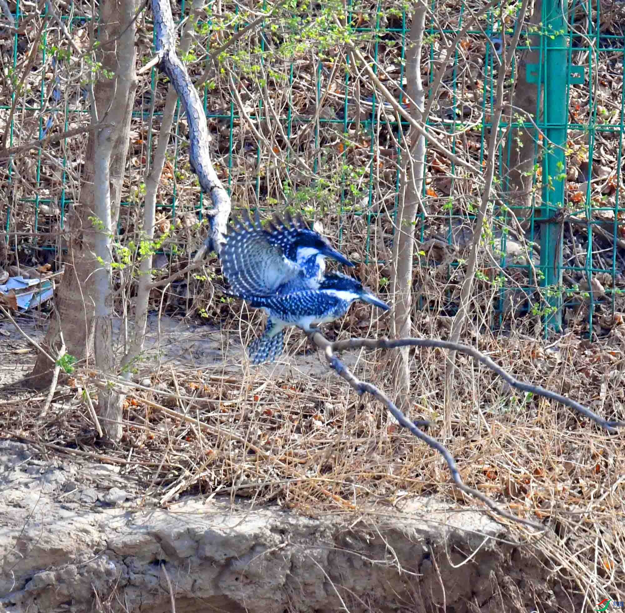 DSC_9969.JPG