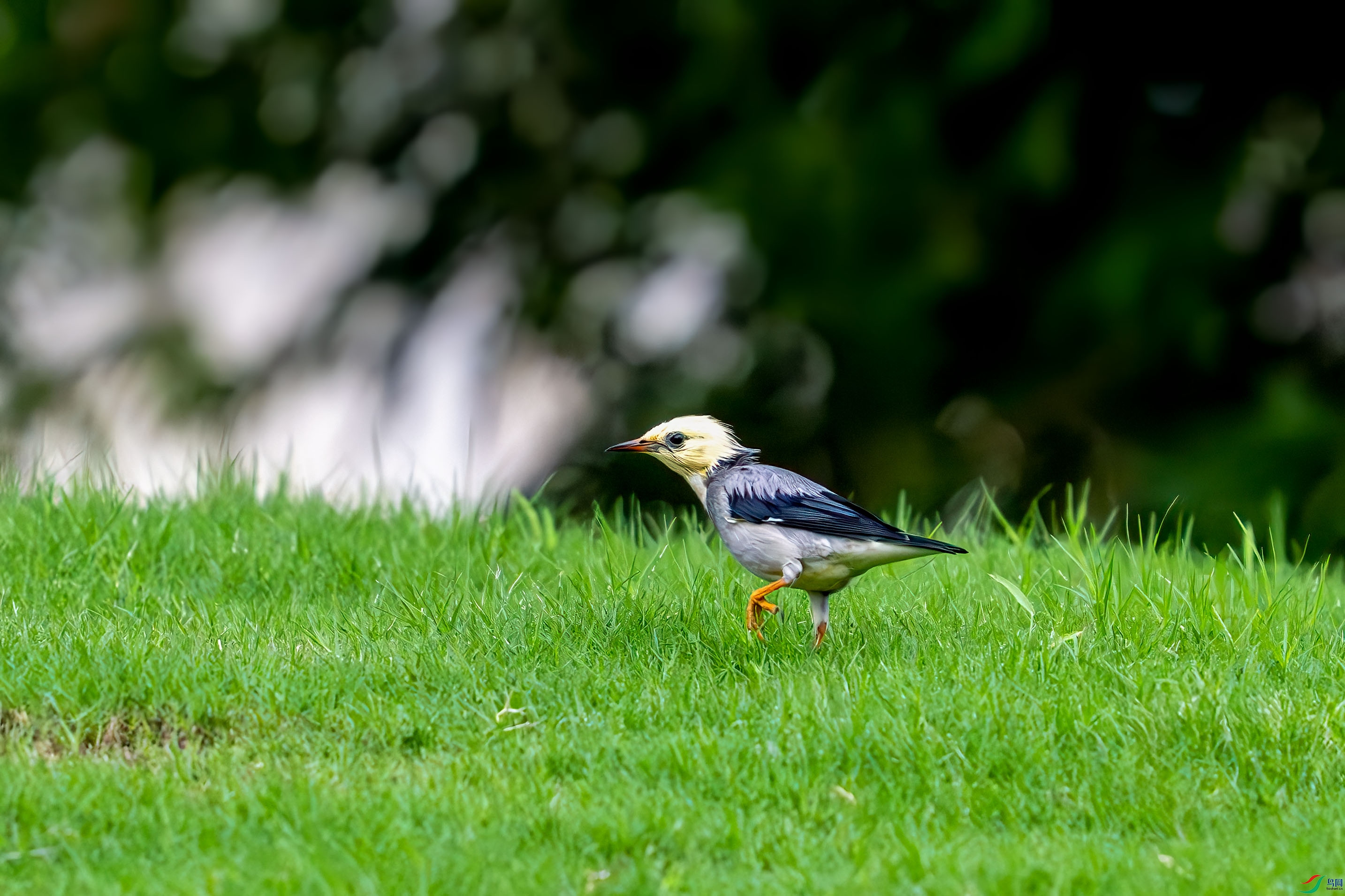 _DSC7394.jpg
