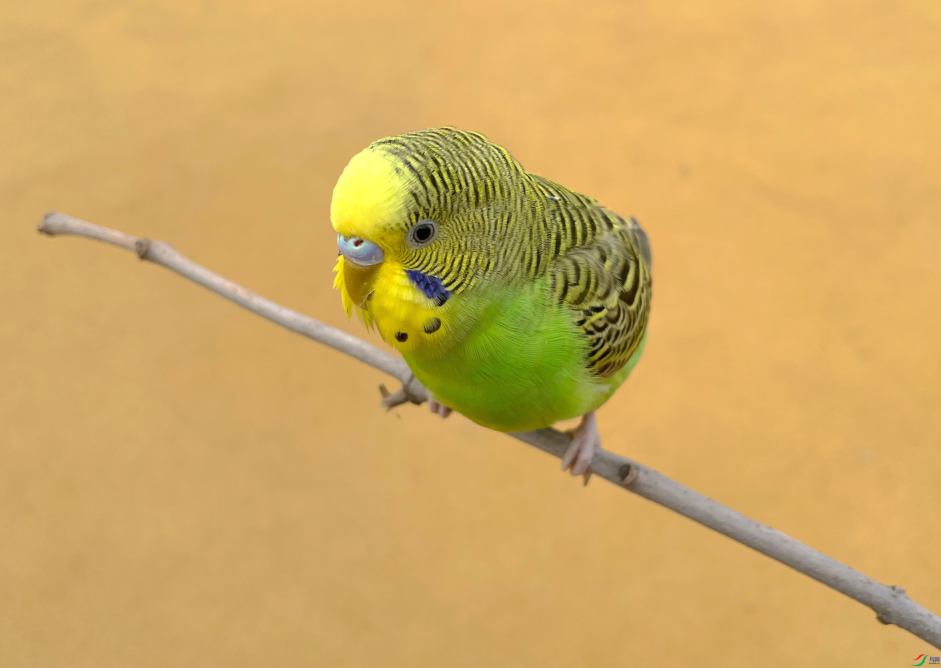 ���� (12)_����.jpg