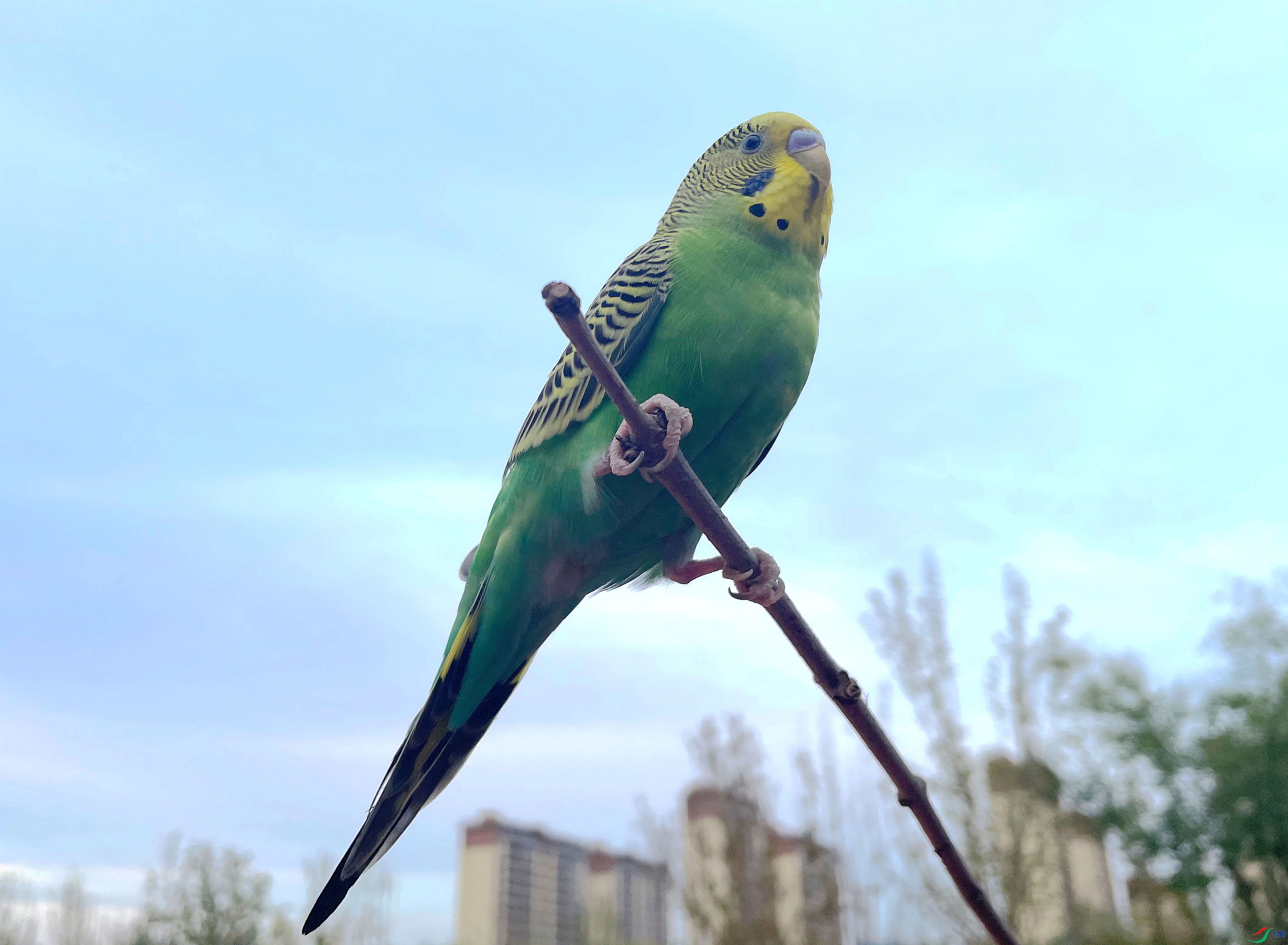 ���� (7)_����.jpg