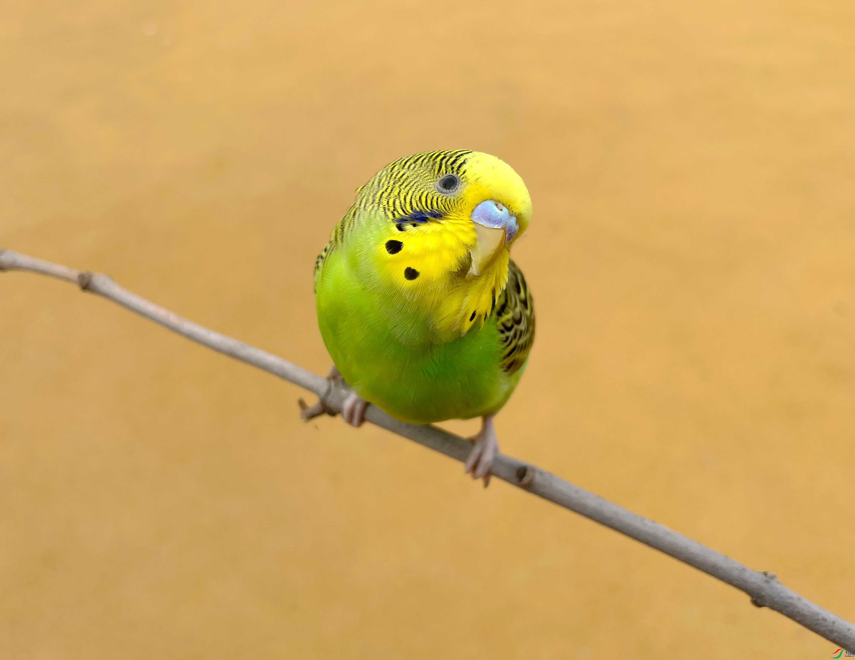 ���� (13)_����.jpg