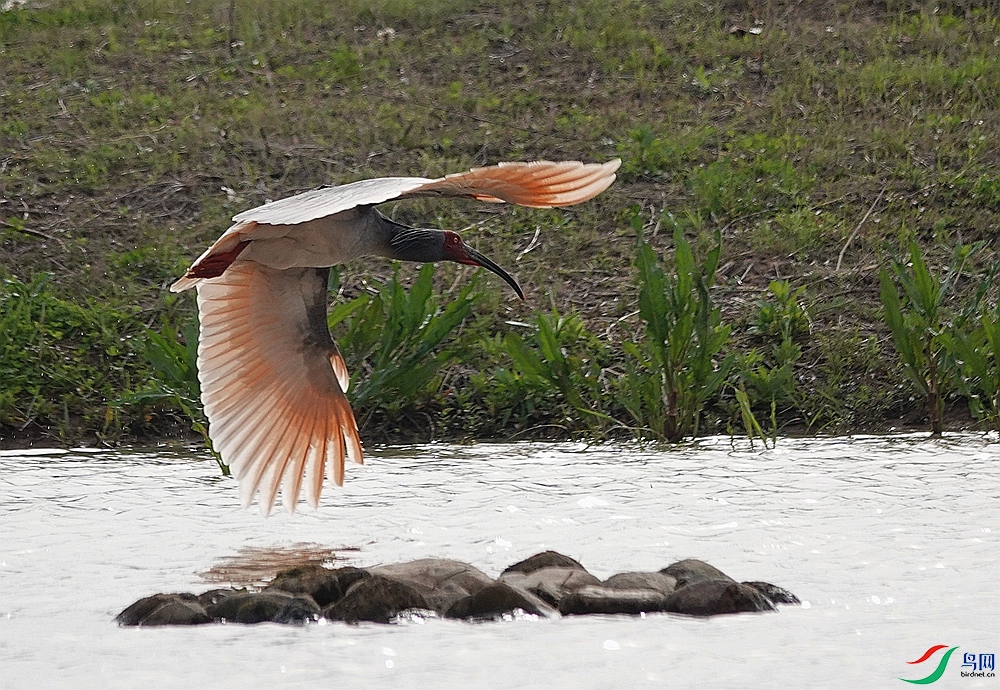 DSC06548 - ����_����.jpg