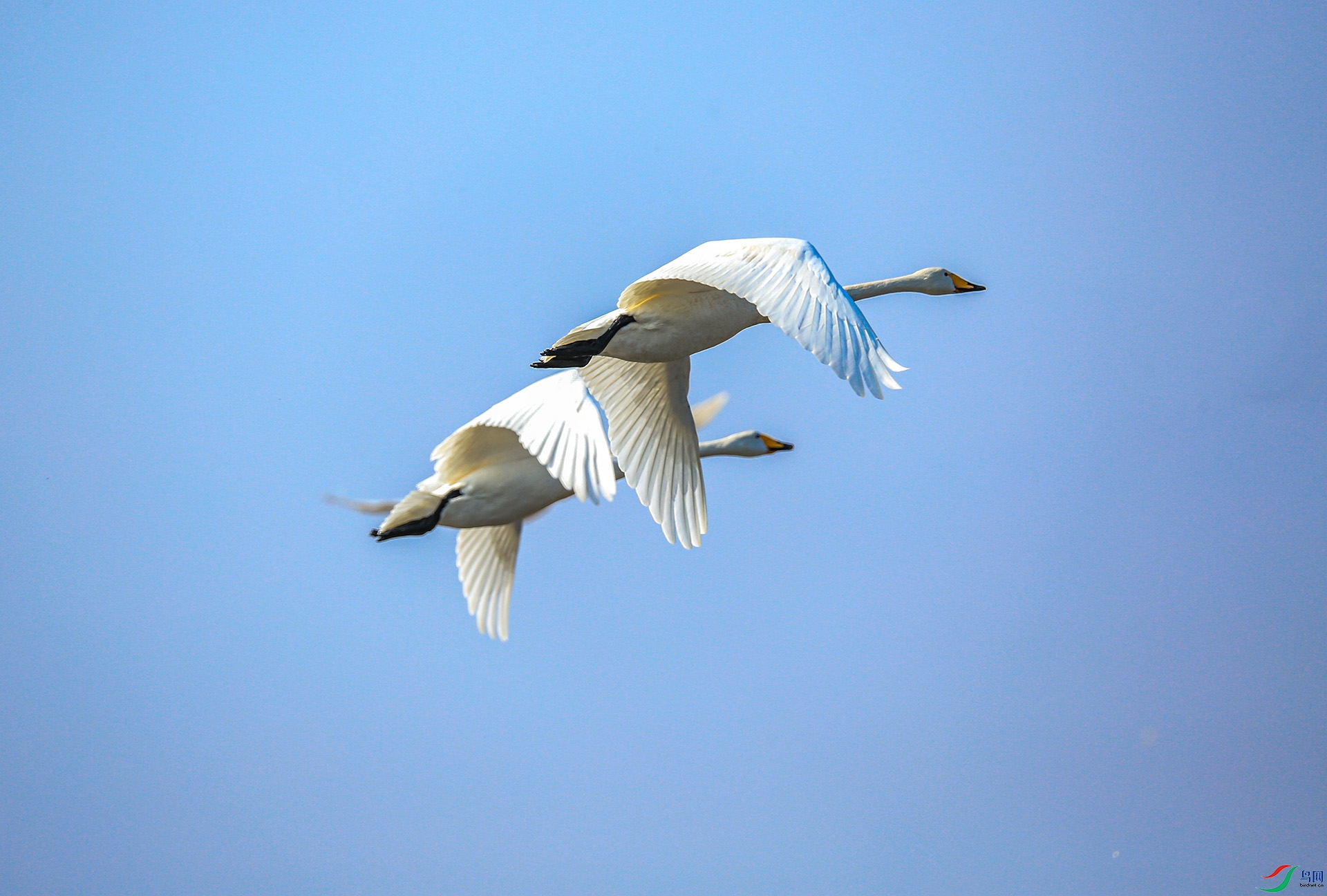 XT5A0217����9-21 .jpg