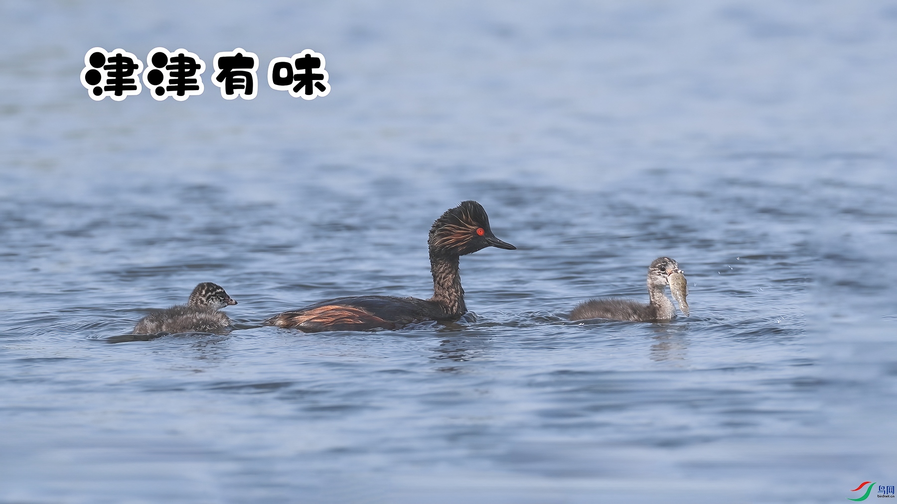 ζ�� ����.jpg