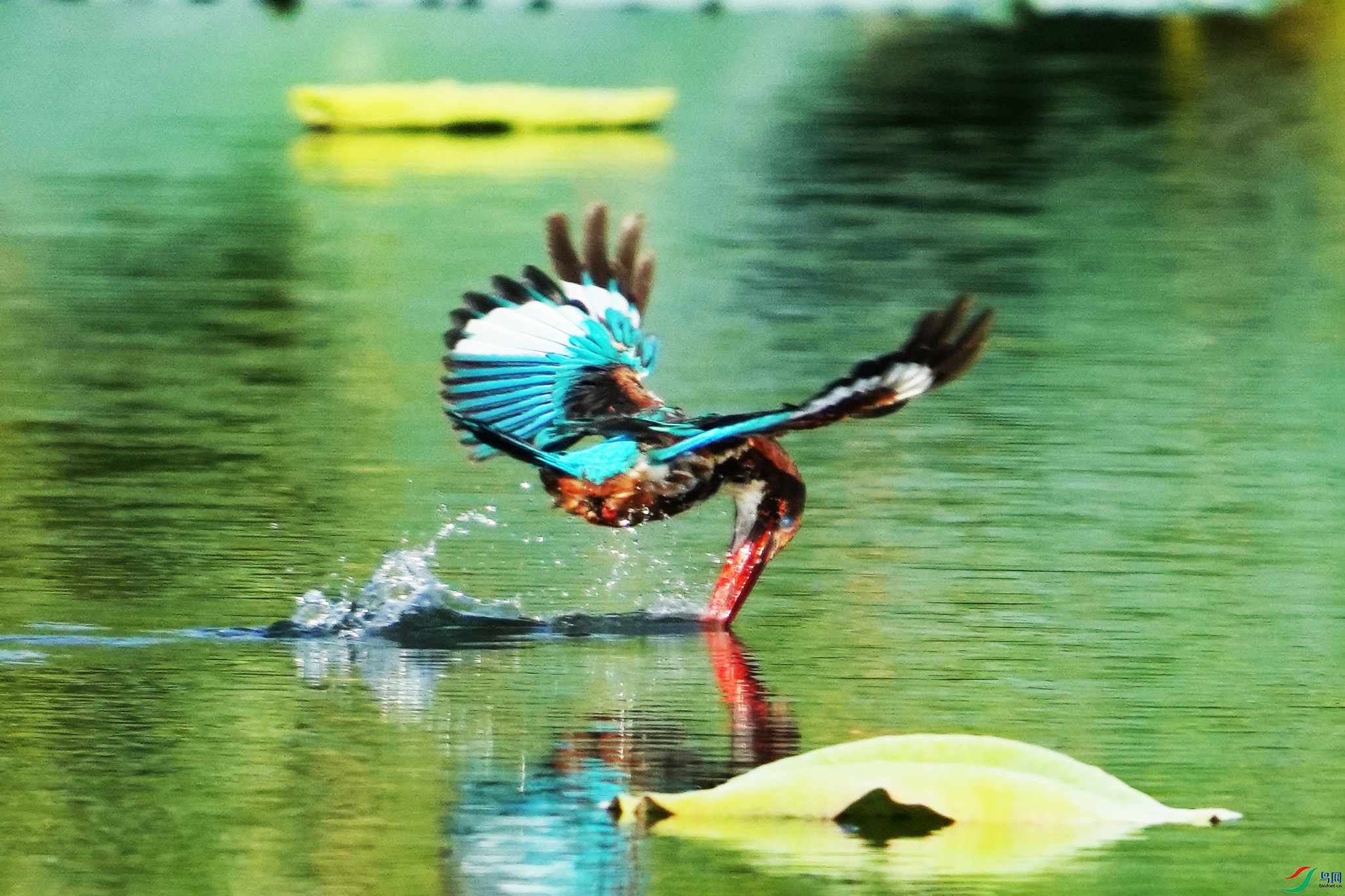 140DSC05085 ����2.jpg