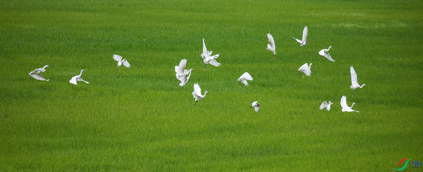 ���ﻶ�� 12.jpg