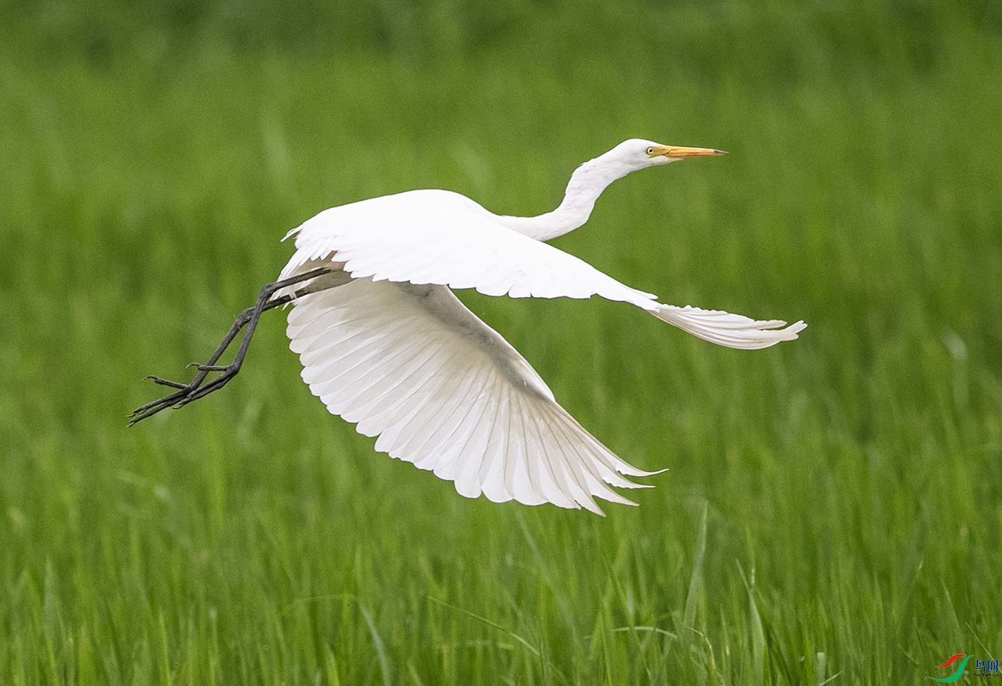 AT4I3758 ���� 12.jpg