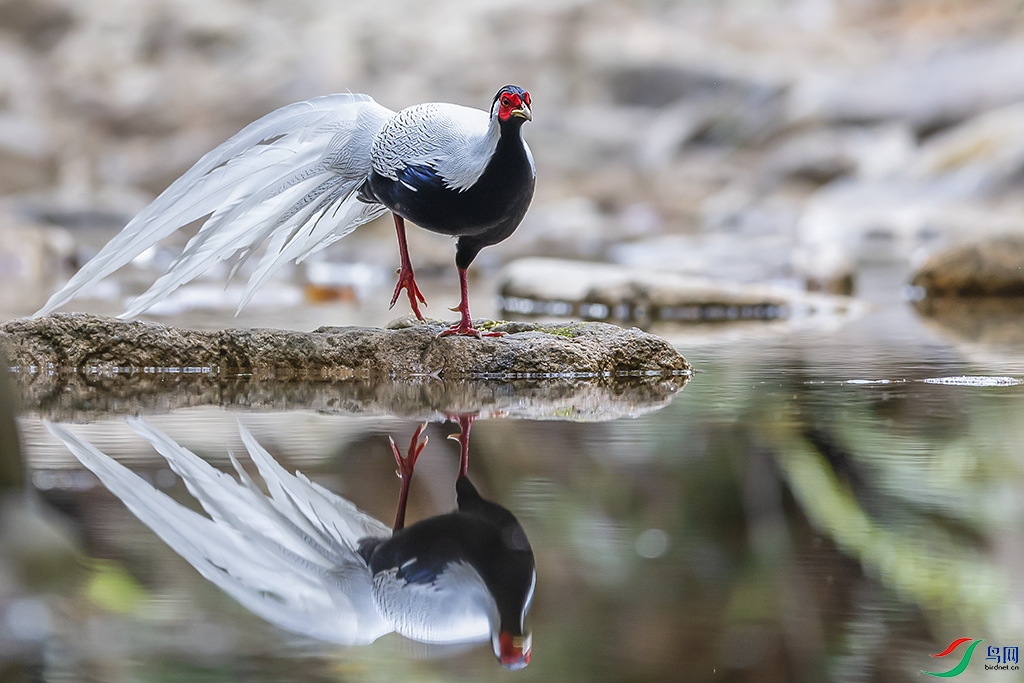 0F7A7303 ����.jpg