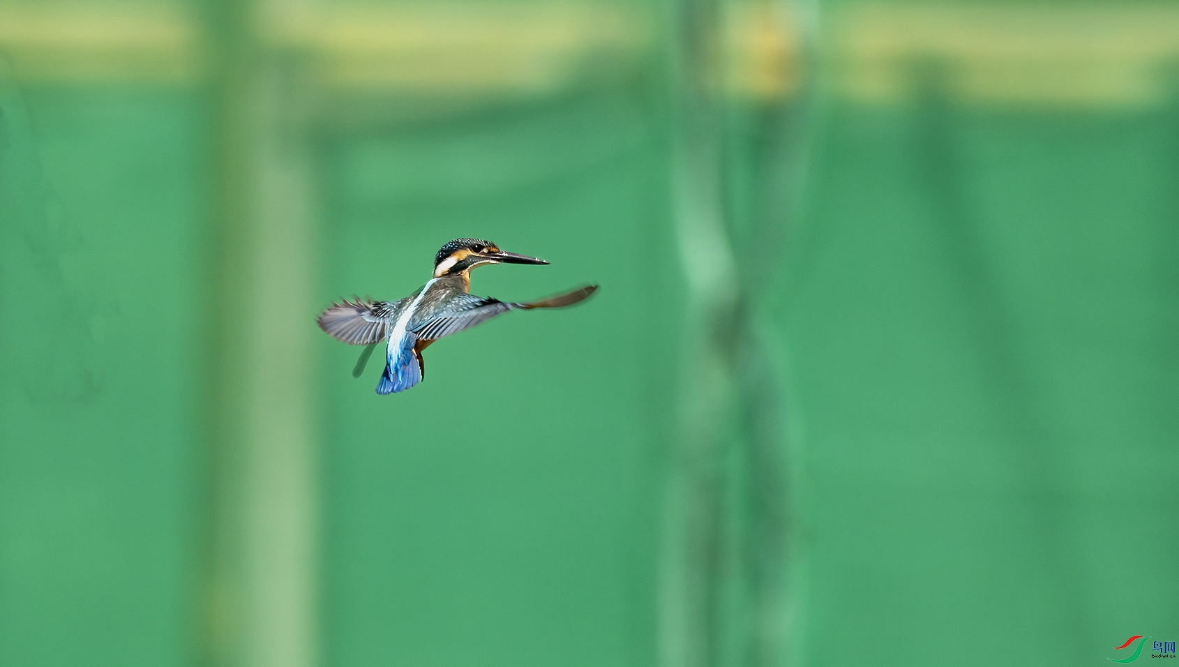 708A6352 ���� 2.jpg