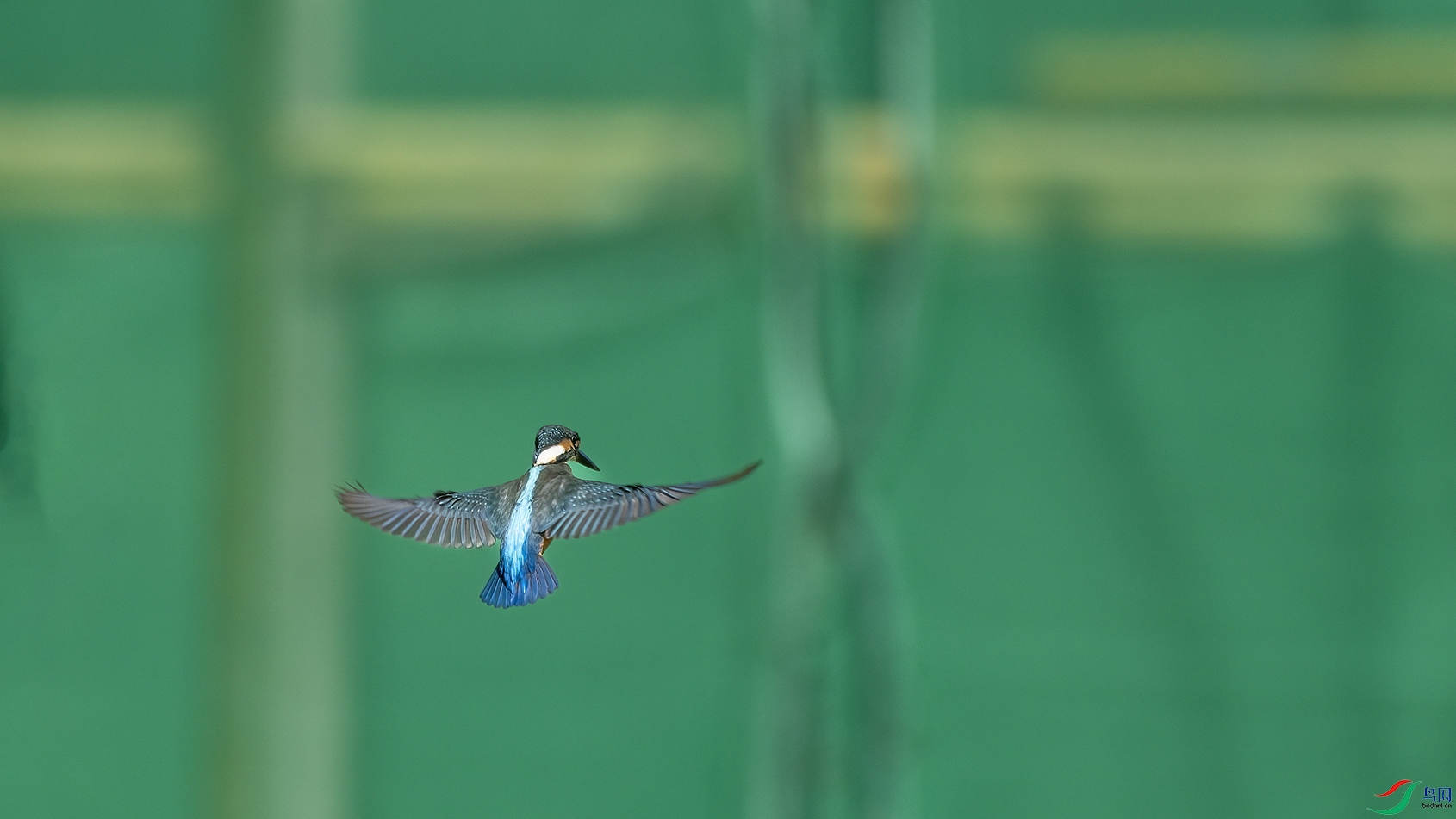 708A6363 ���� 2.jpg