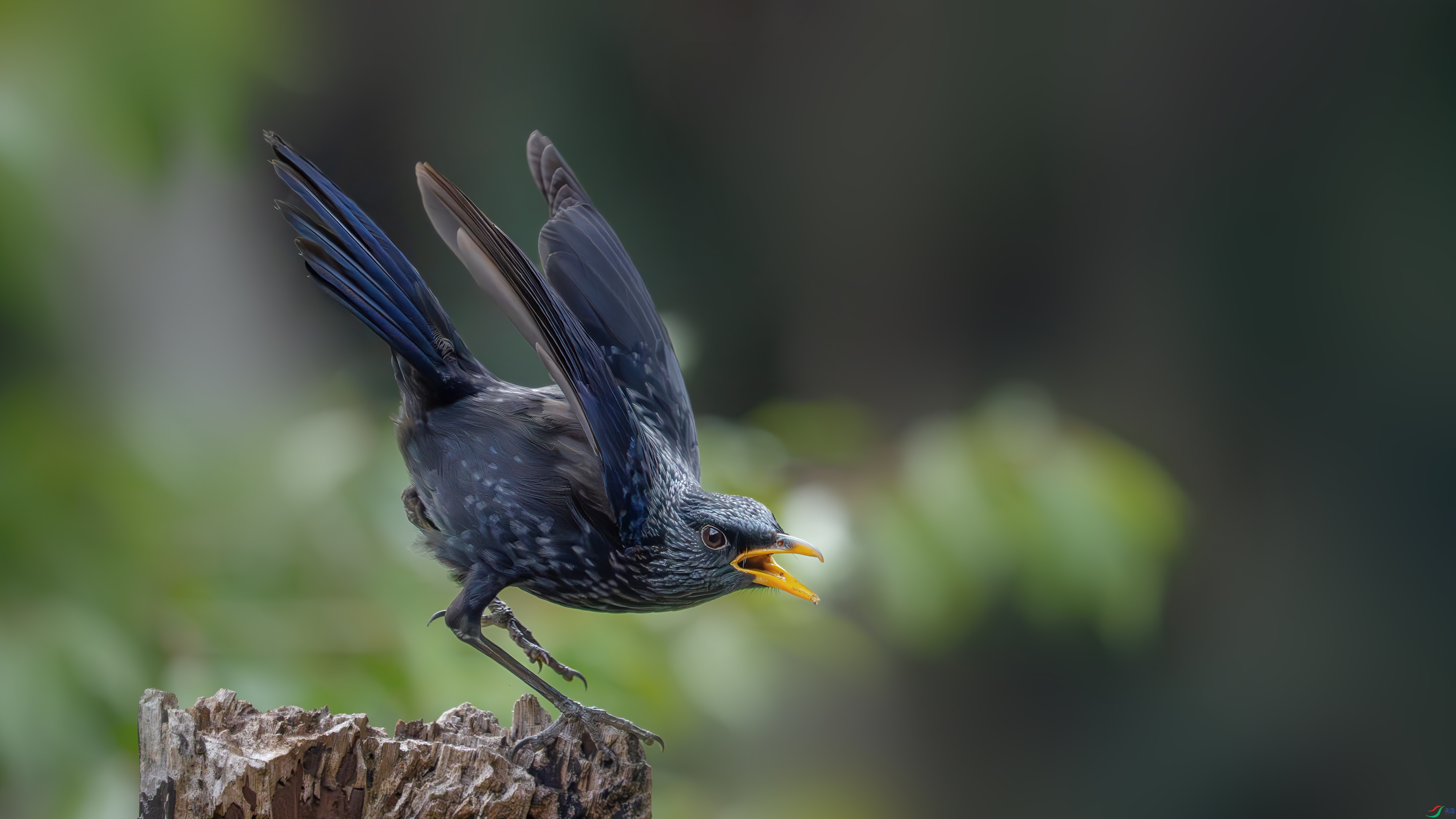 _DSC7010 ����.jpg