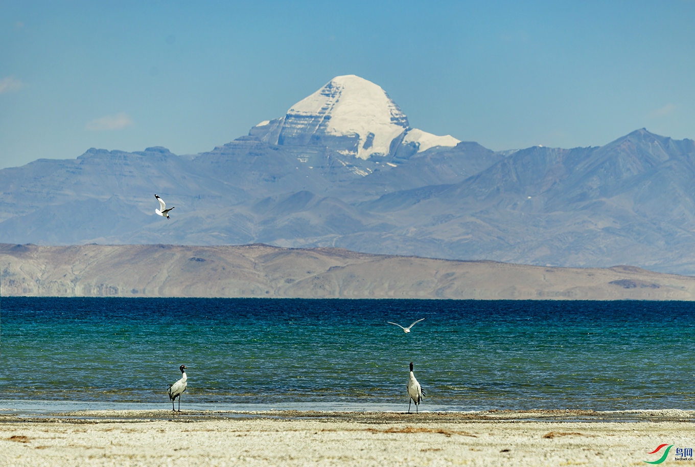 �ھ��ס�����Ӻ��͸��ʲ���ͬ��