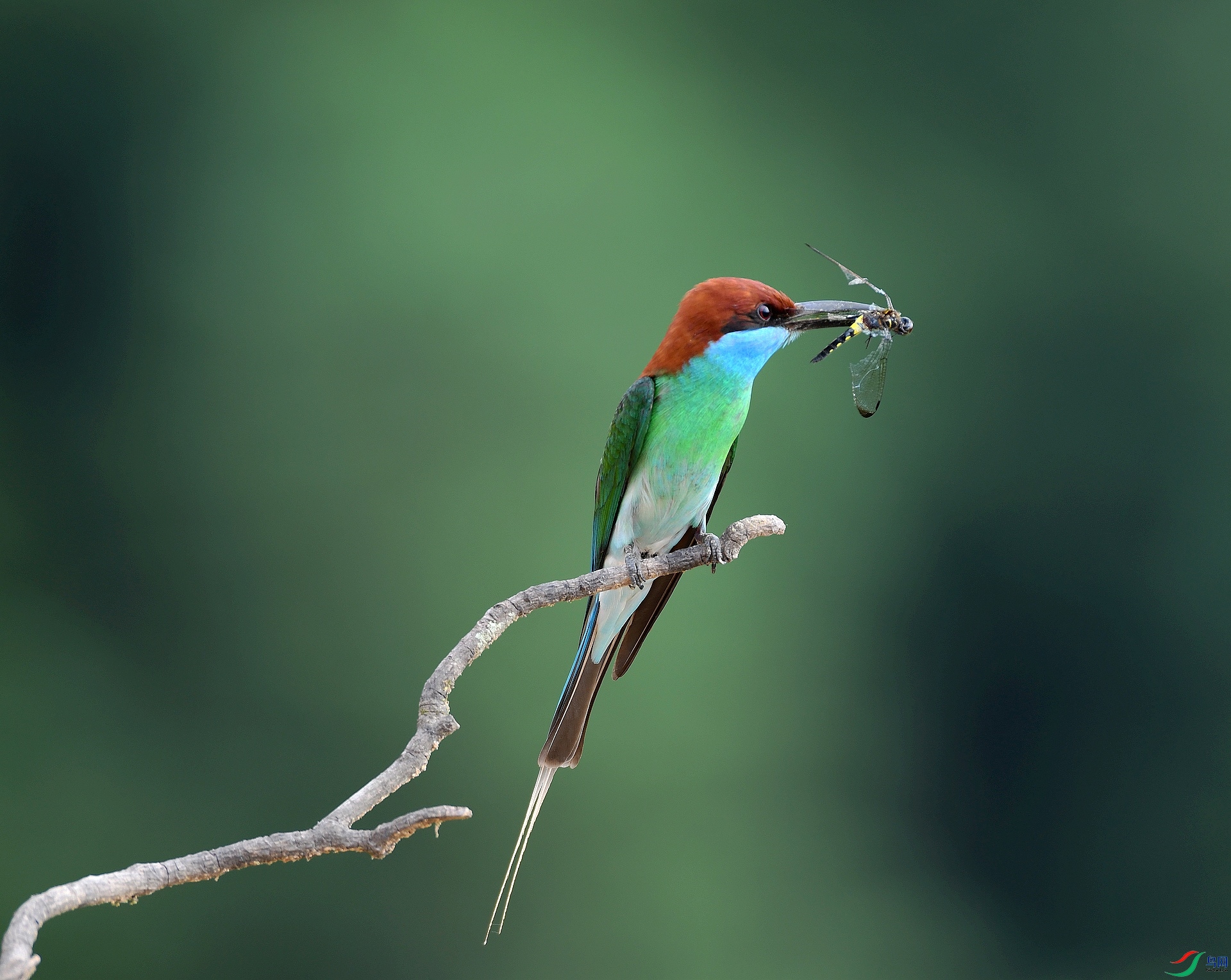 DSC_8573.jpg