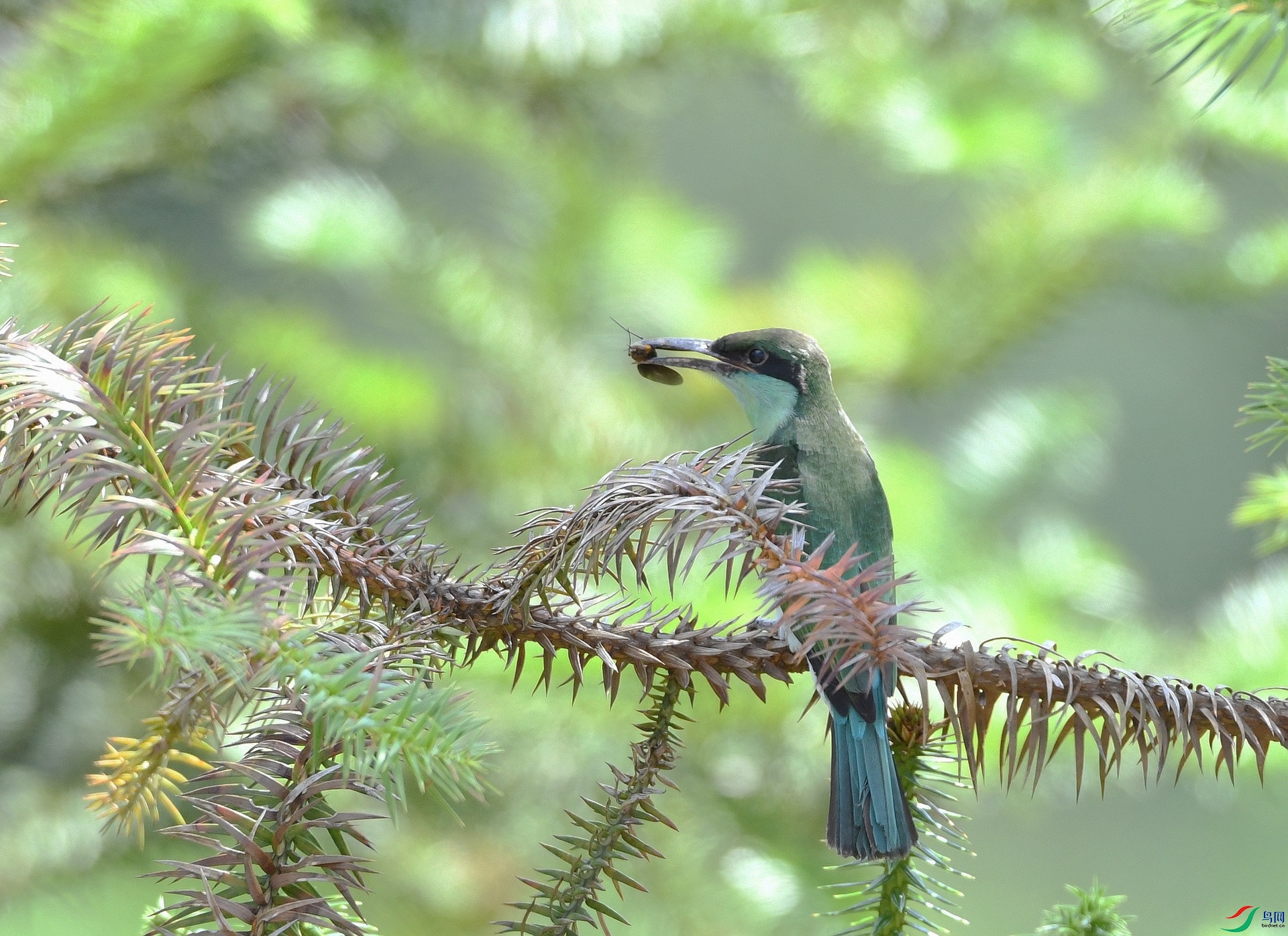 DSC_8882.jpg