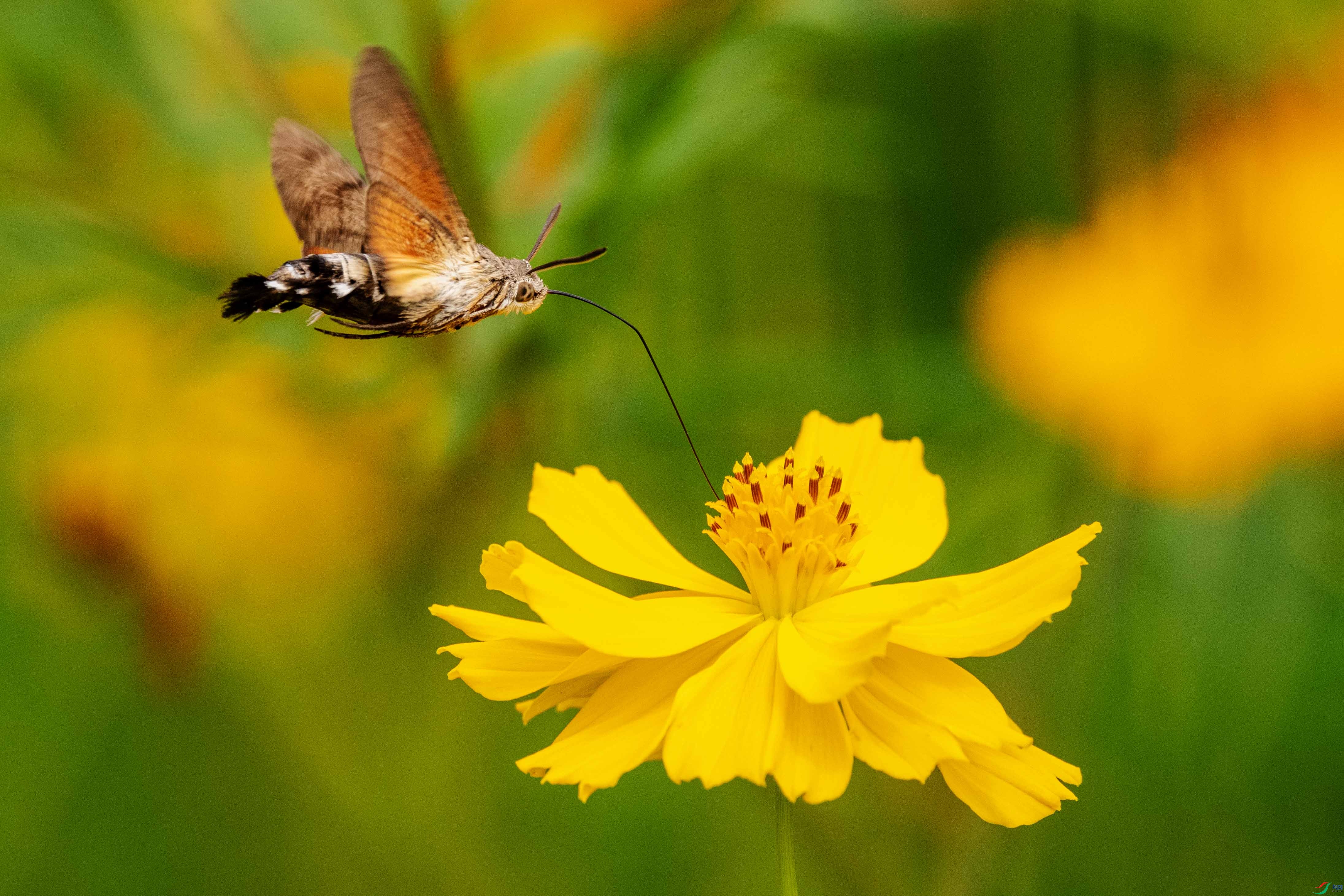 _DSC6176 ����.jpg