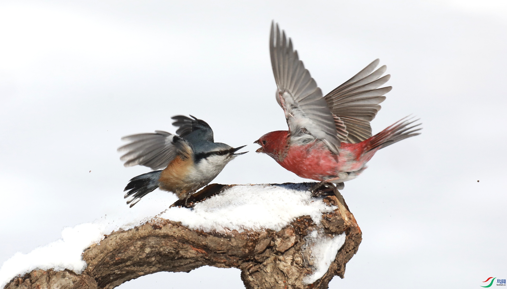 9G8A9950 ����.jpg