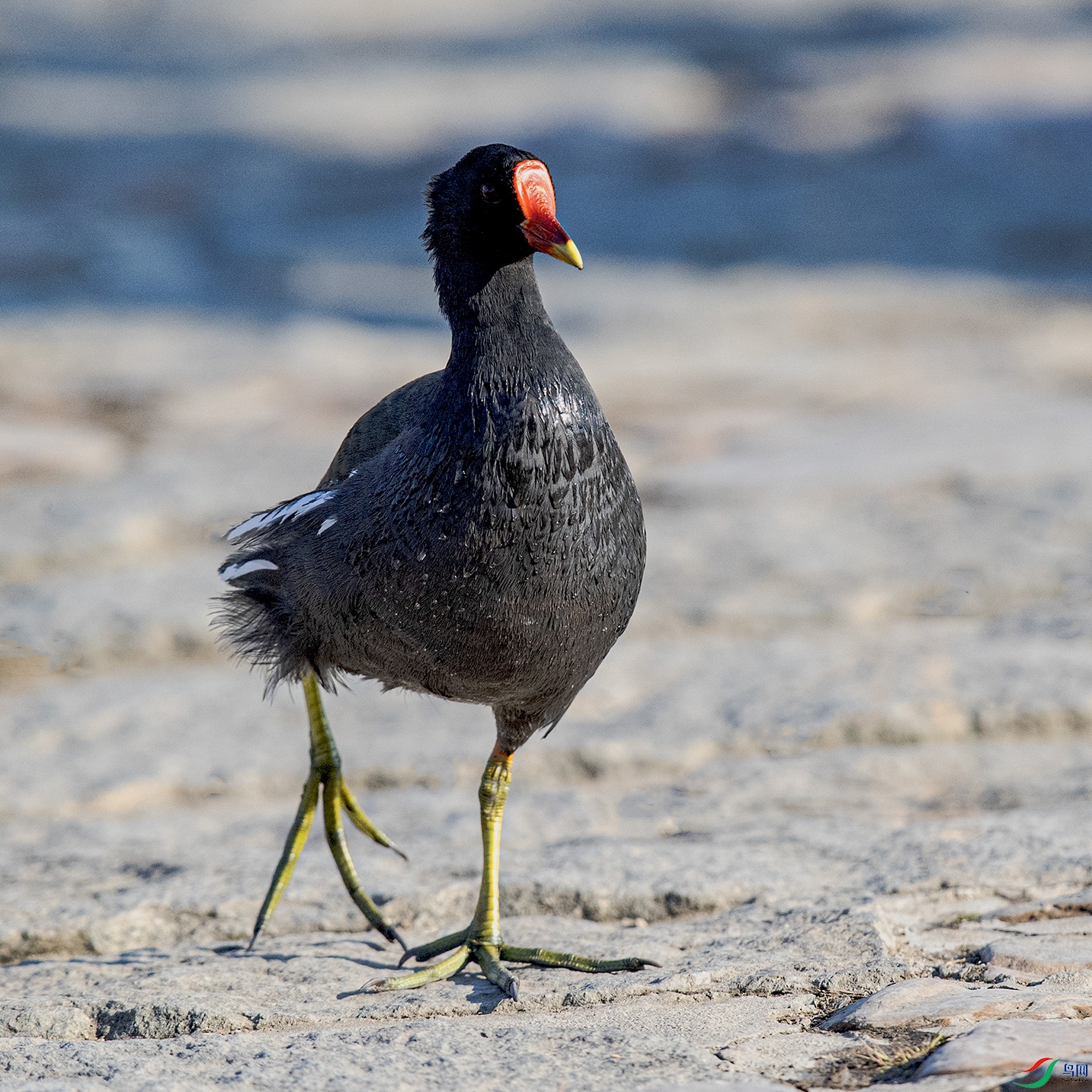 _90I0781 ����.jpg