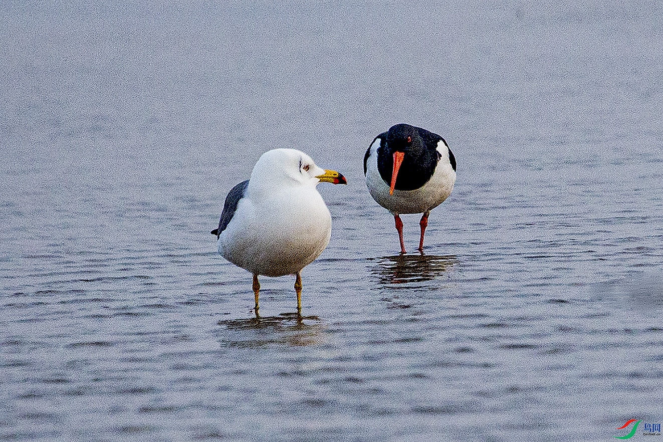 _MG_8817 ���� 2.jpg